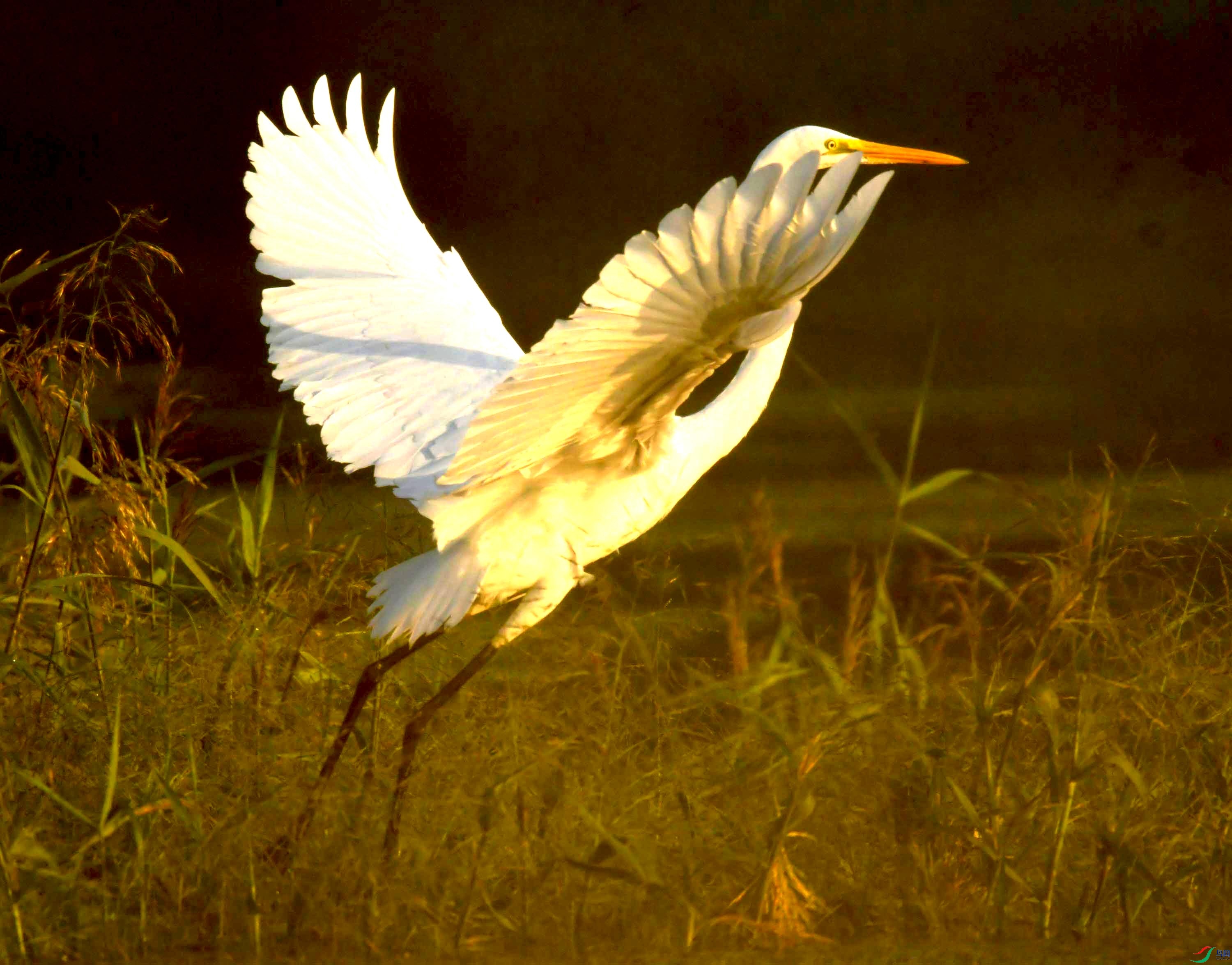 DSC_0644.JPG