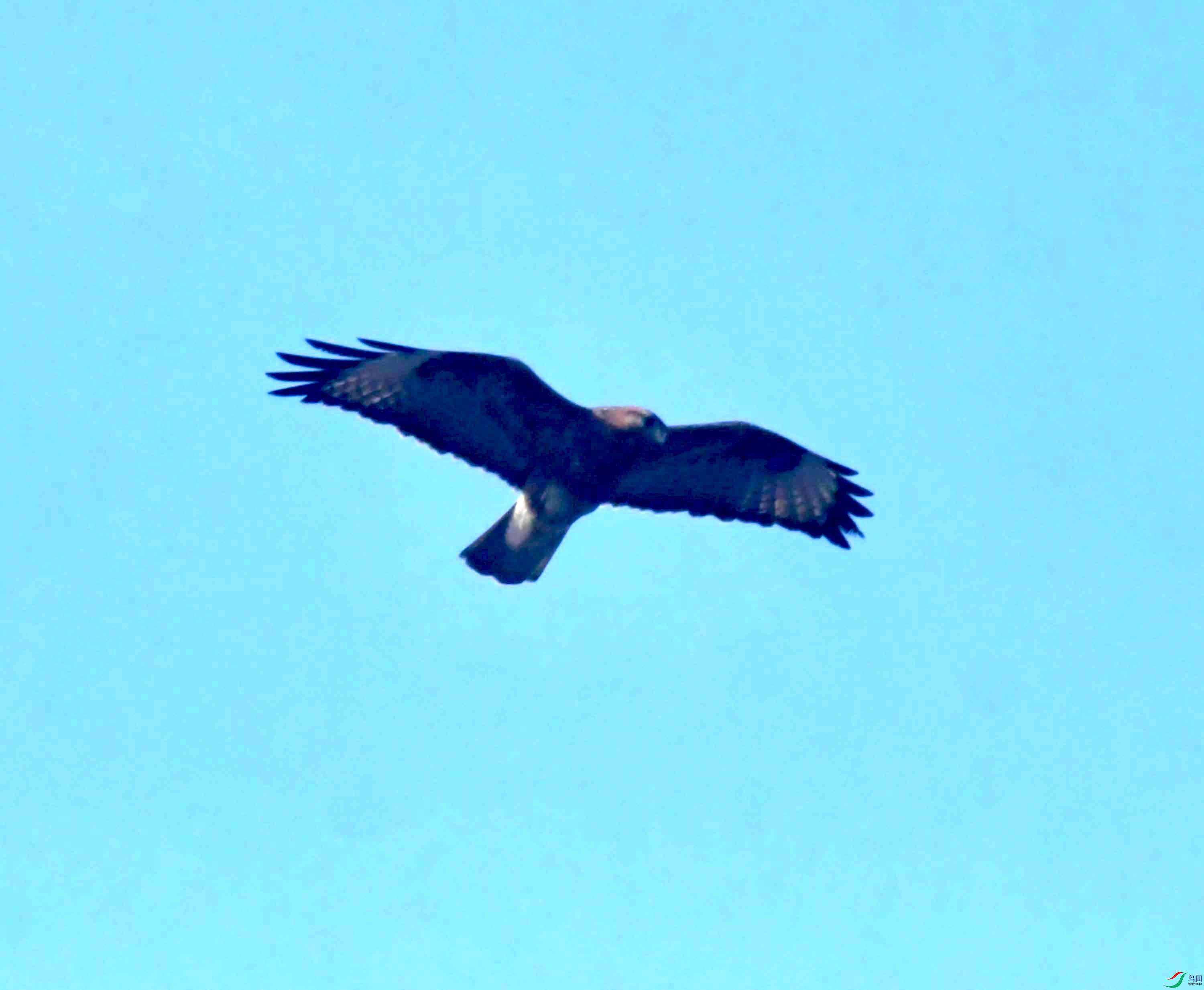 DSC_0086.JPG