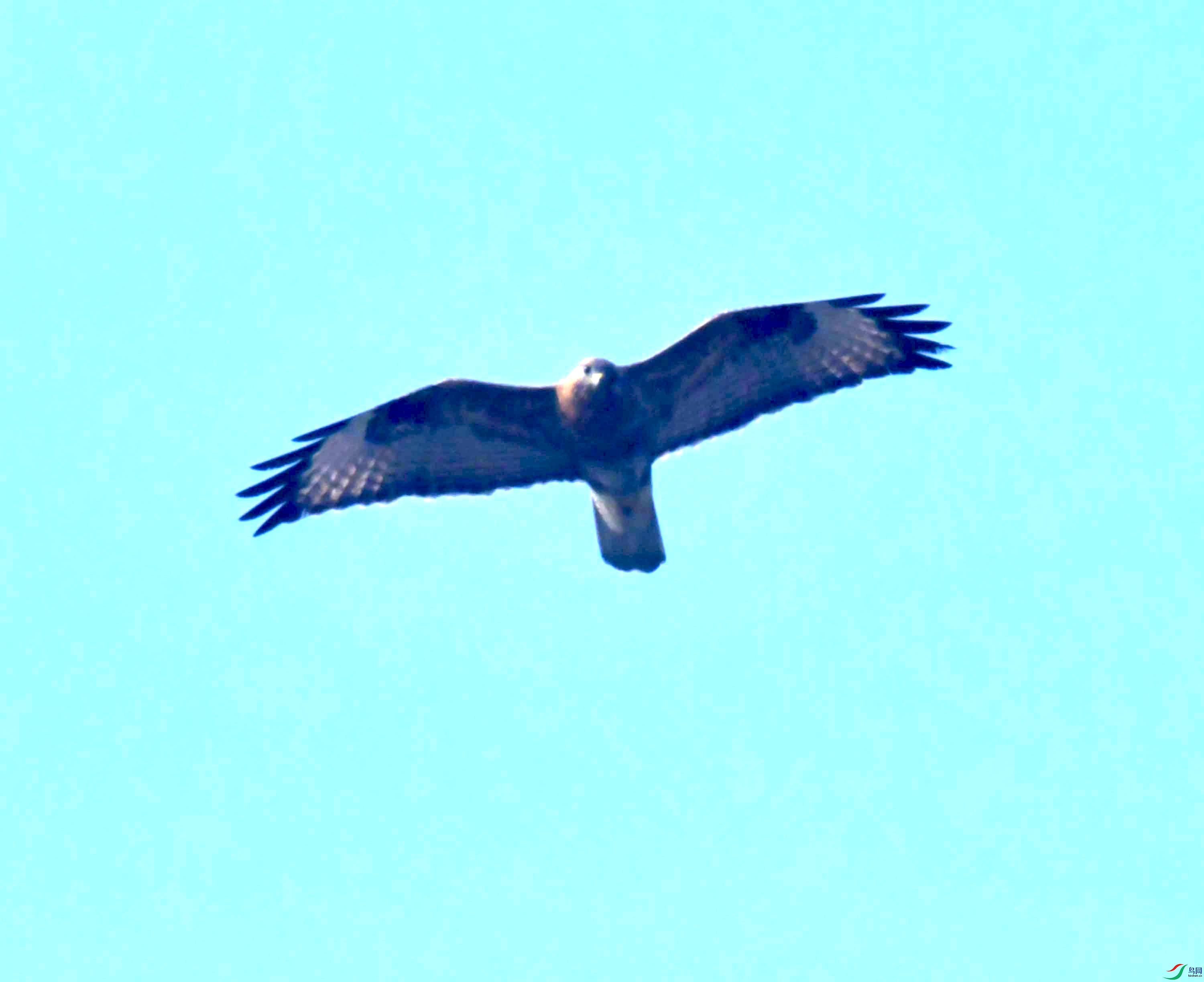 DSC_0095.JPG