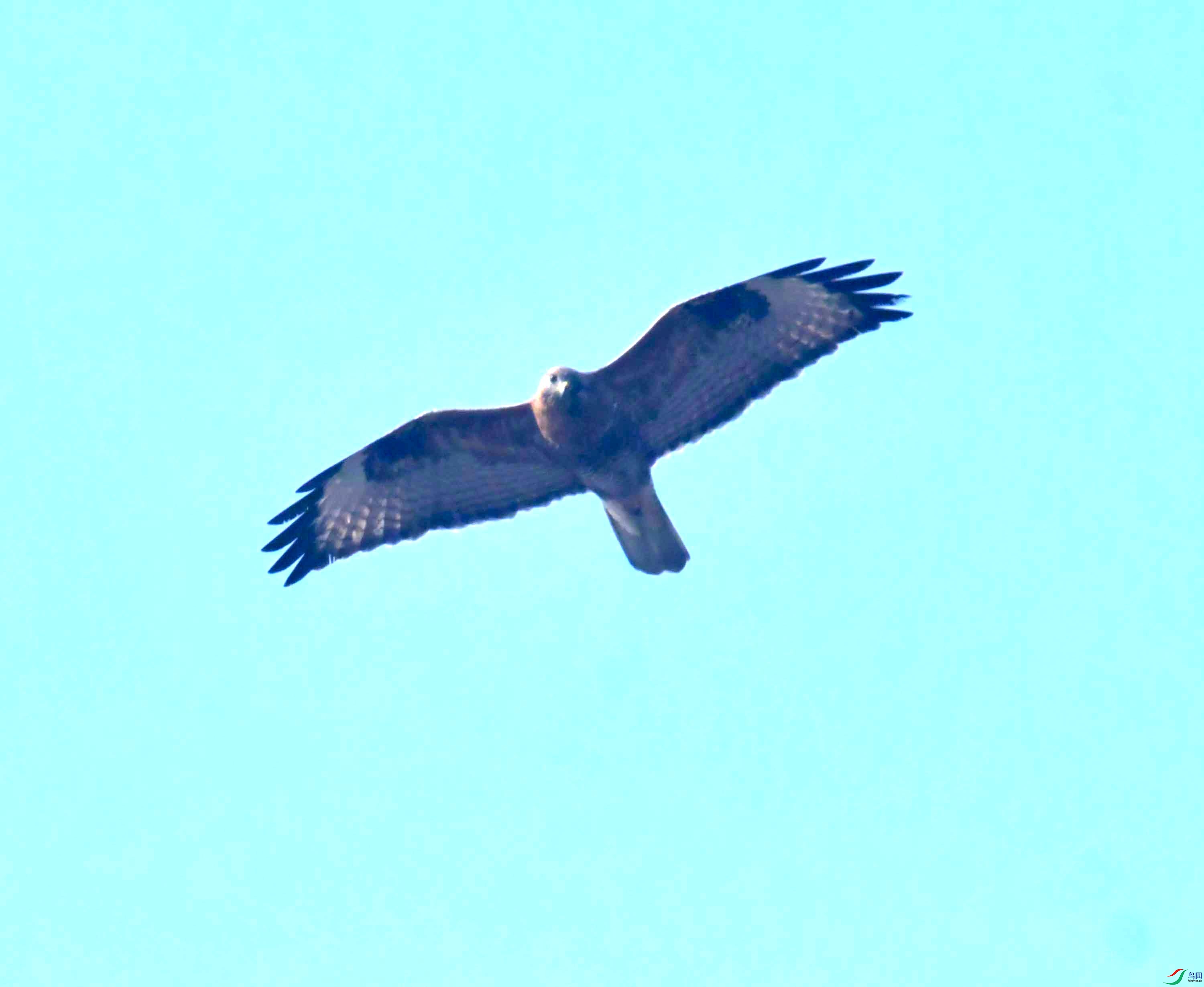 DSC_0097.JPG