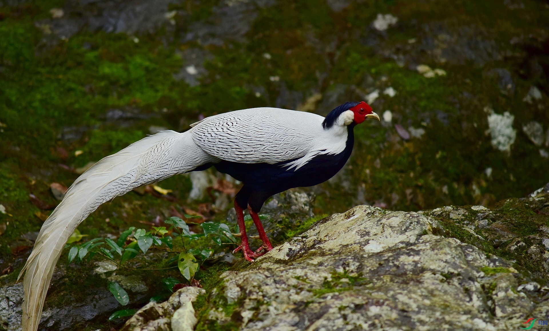 D8I_0255.jpg