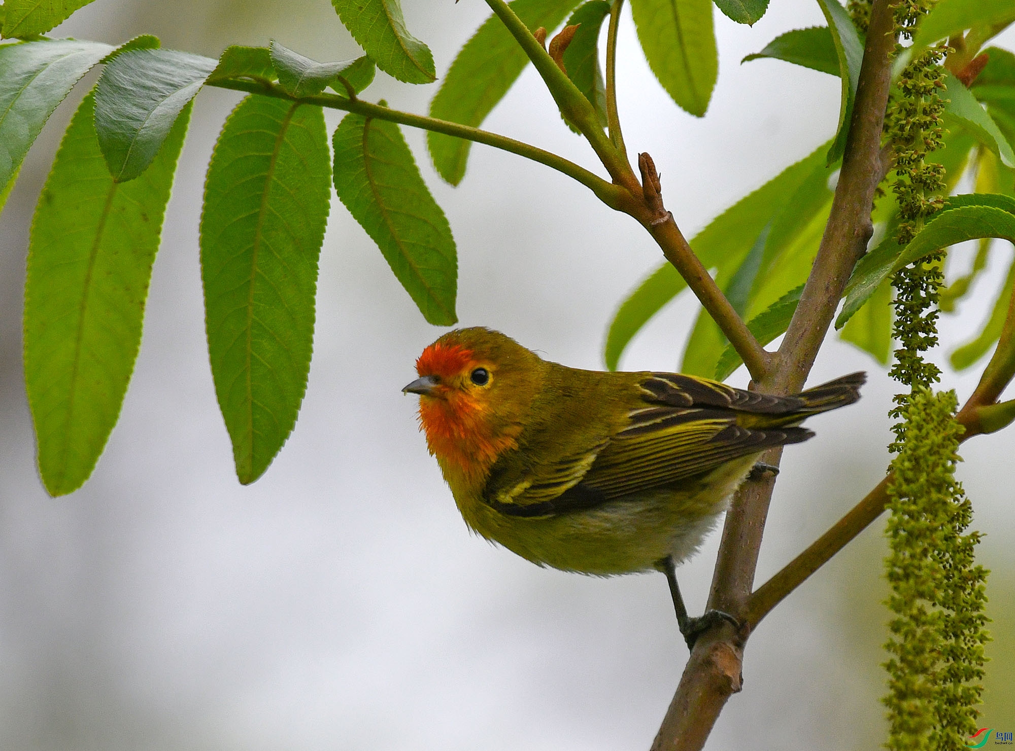 DSC_1310.JPG