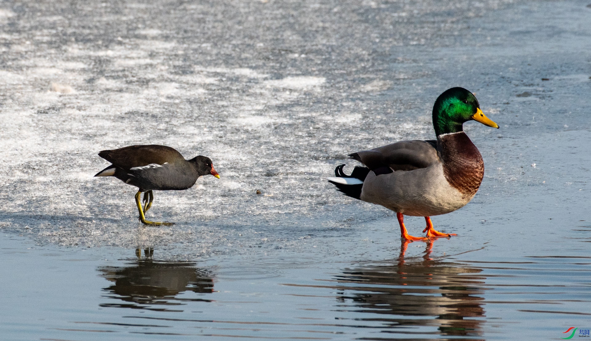 DSC_3579.jpg