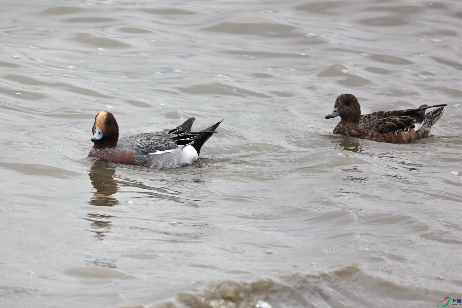 H41A5531_����.jpg