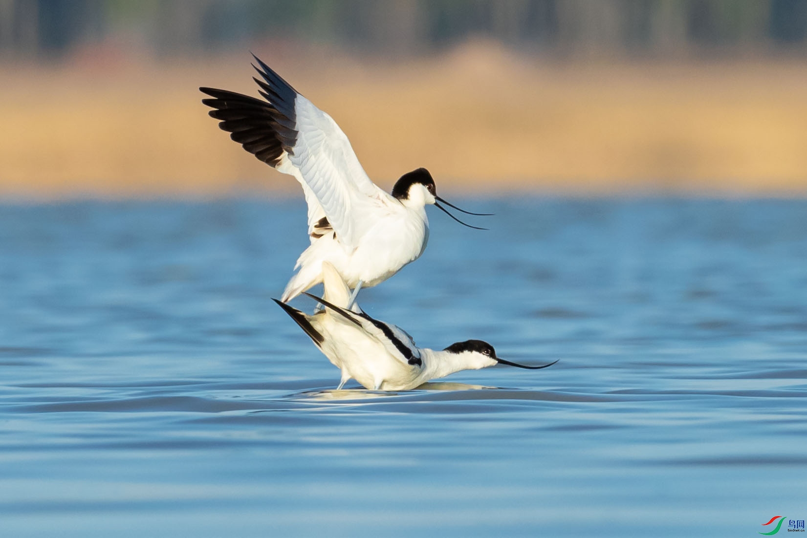 JHGS7494 ����.jpg