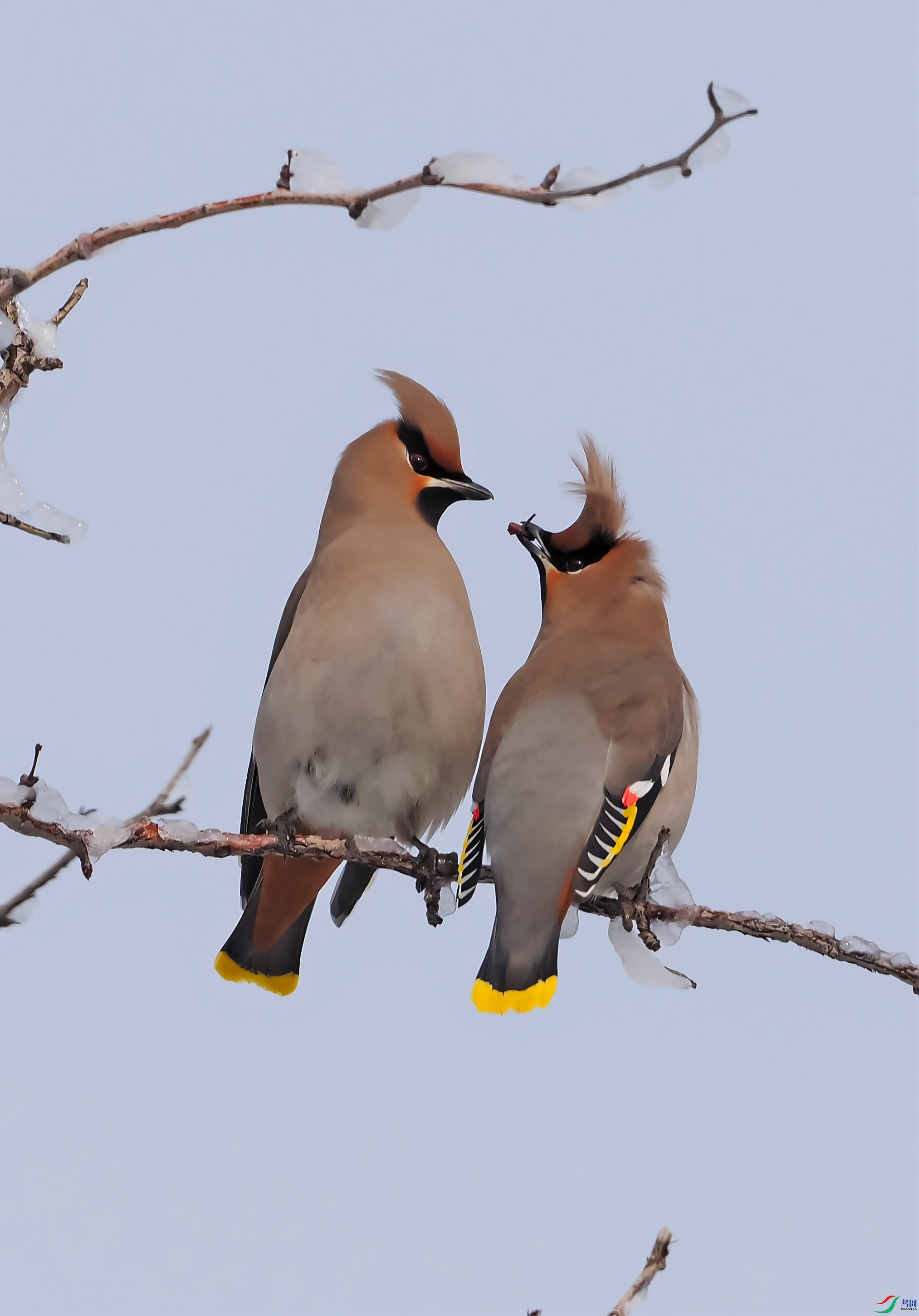 P3011147.jpg