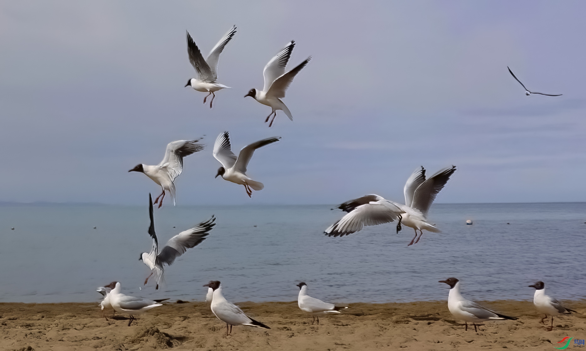 _DSC6281a ����.jpg