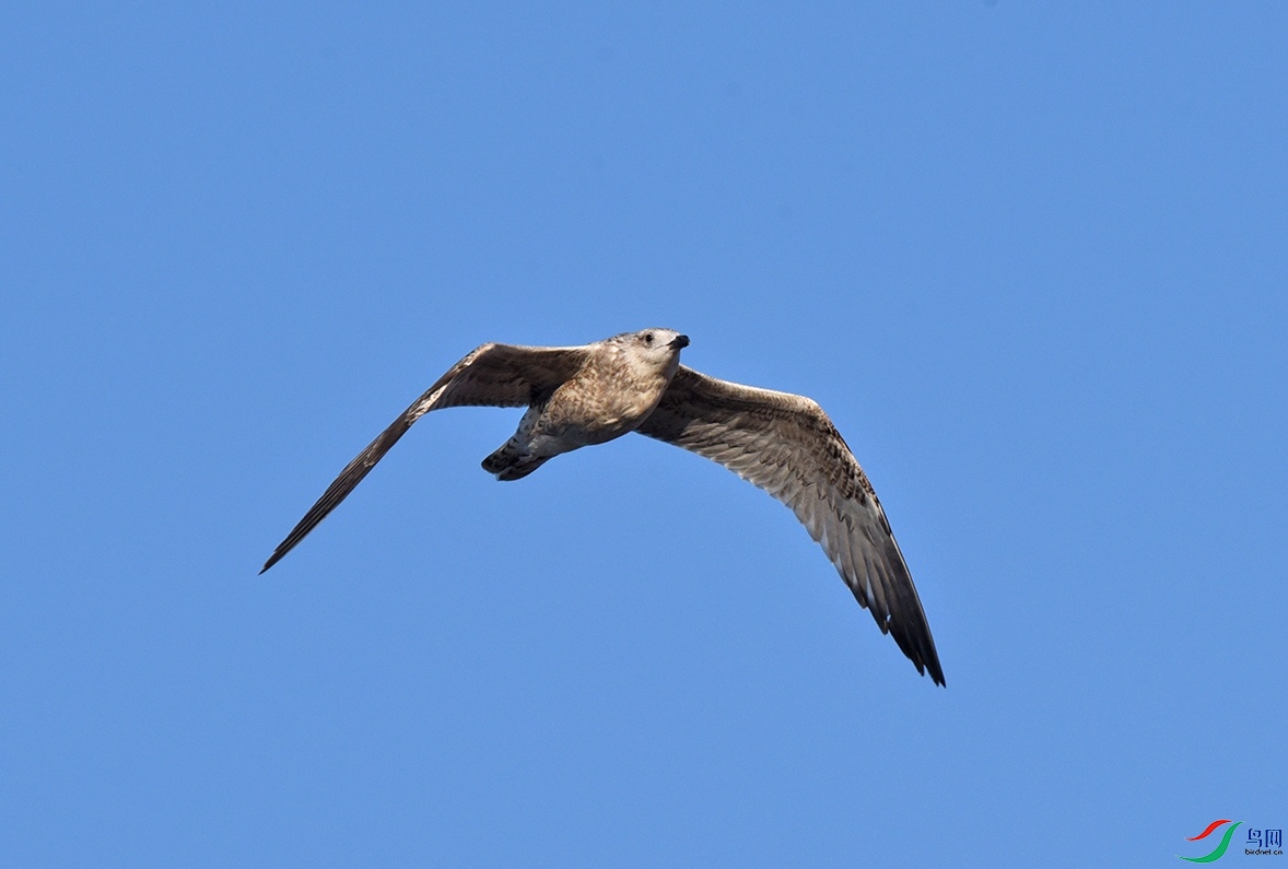 DSC_6690f_��ͼ��.jpg