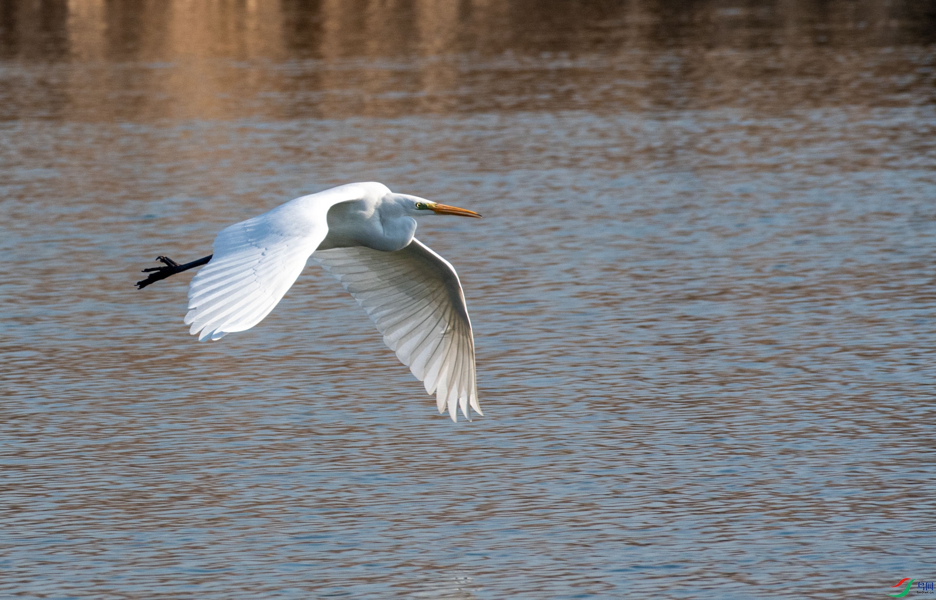 DSC_3599.jpg