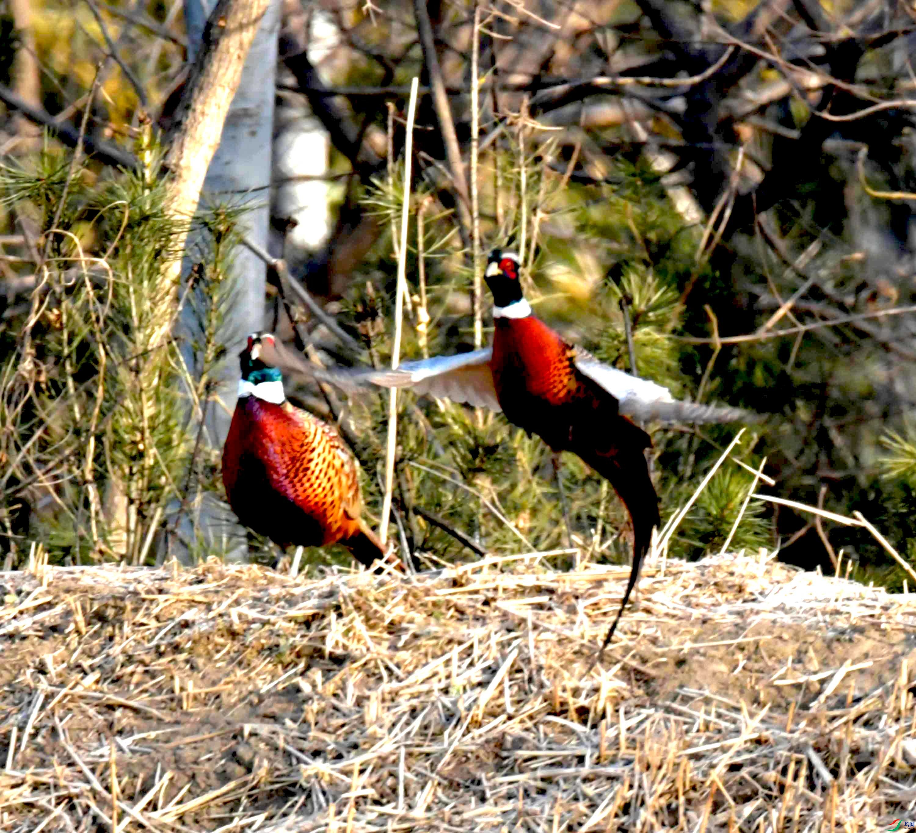DSC_0140.JPG
