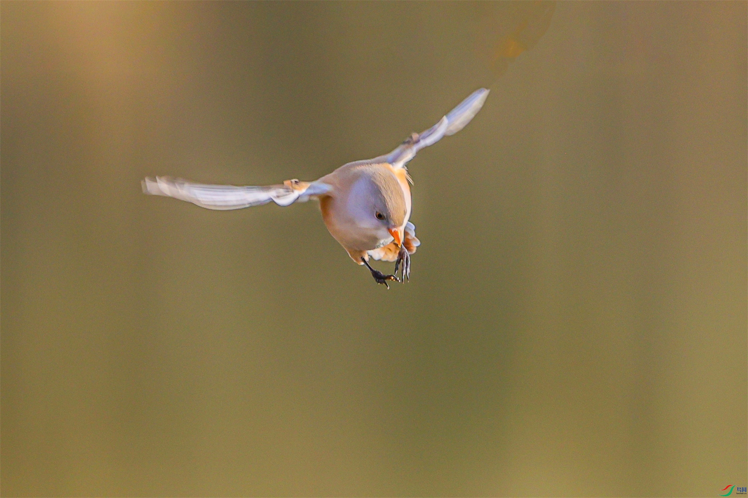 1K3A3000 ����1.jpg