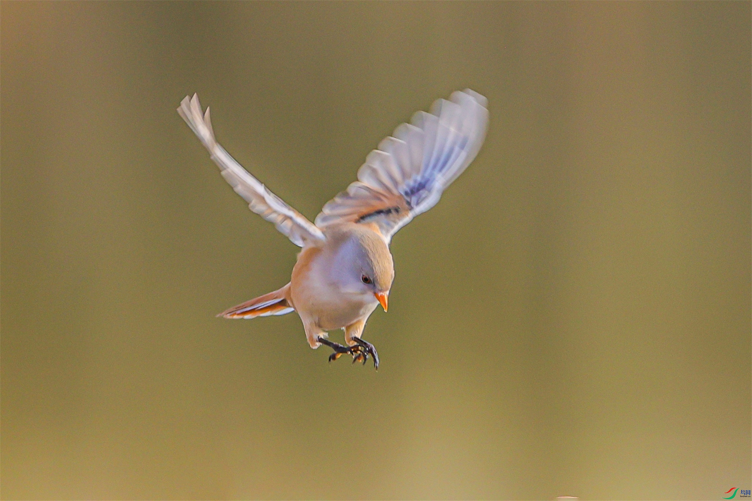 1K3A3001 ����1.jpg