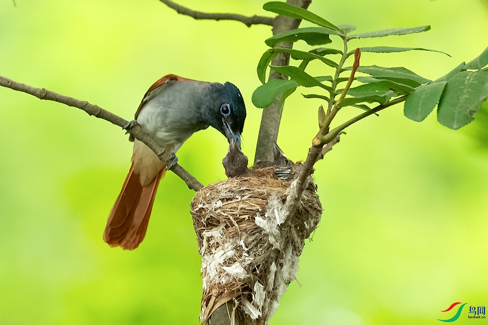 DSC_5345_DxOa.jpg