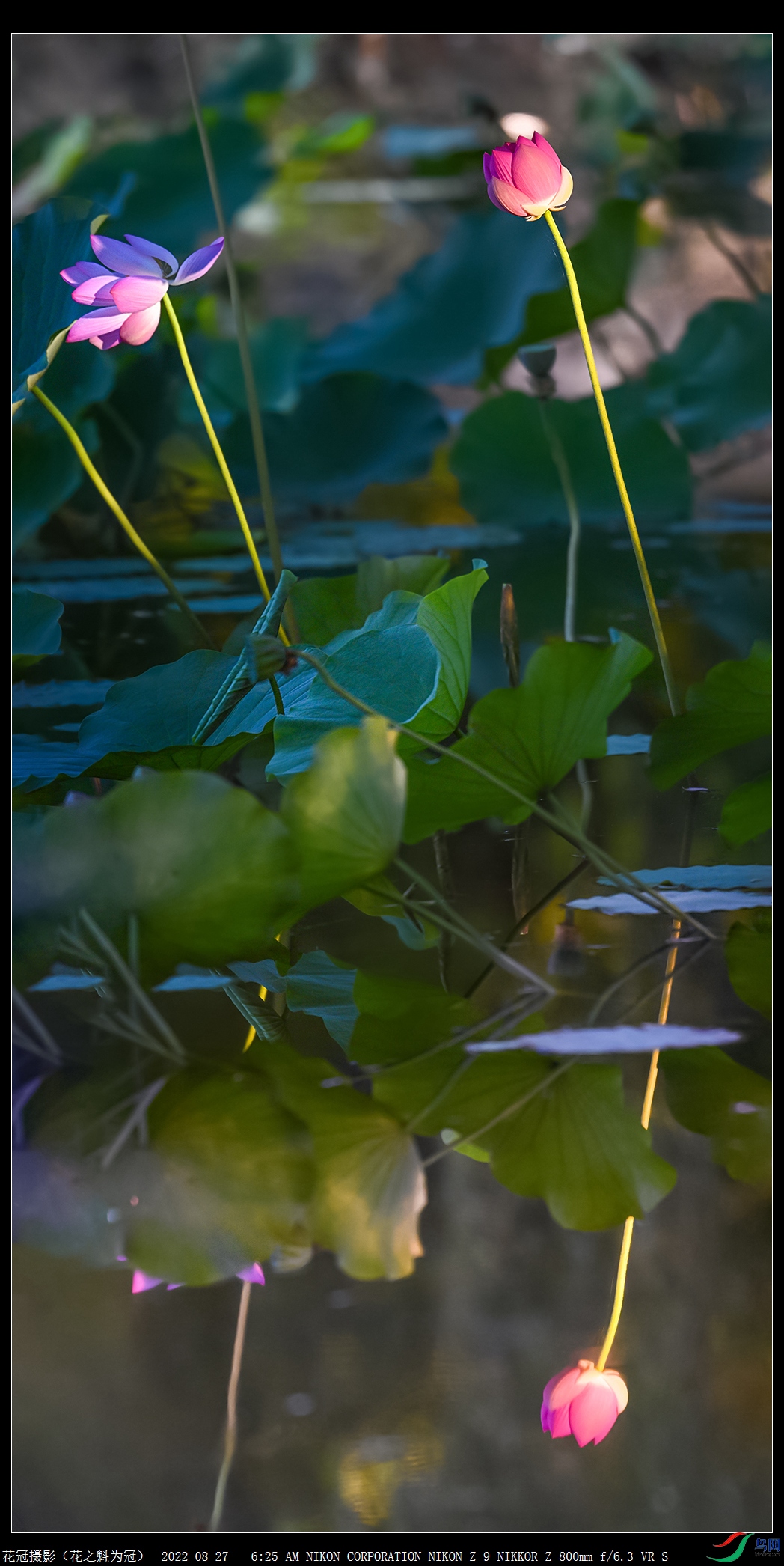 DSC_0271��0309�ϳ�ȫ��ͼ���á��ı䳤����B-1_����.jpg