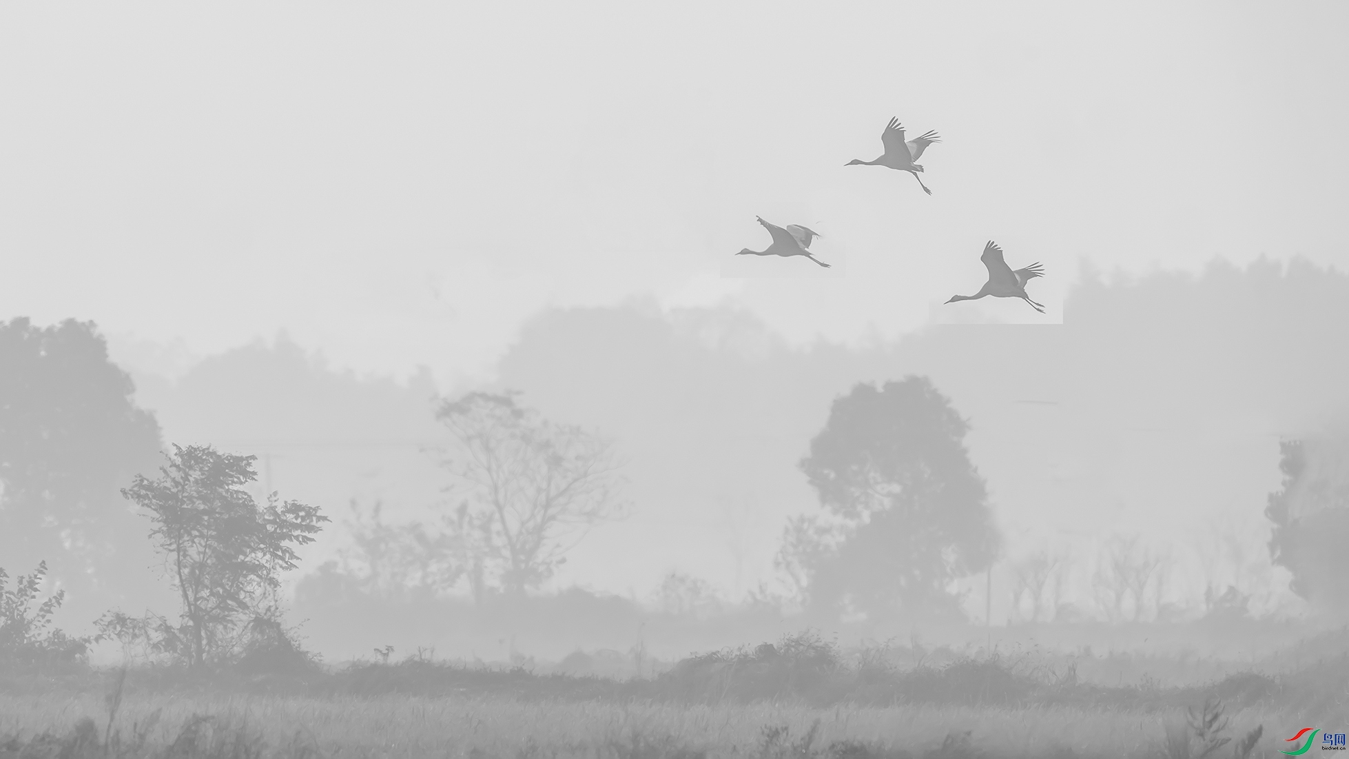 DSC09140 ����.jpg