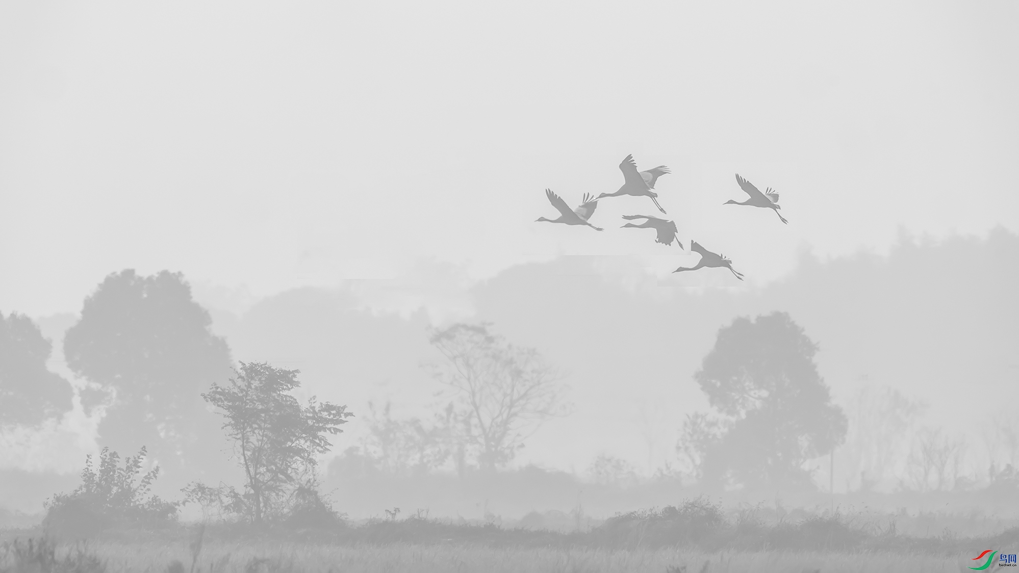 DSC09142 ����.jpg