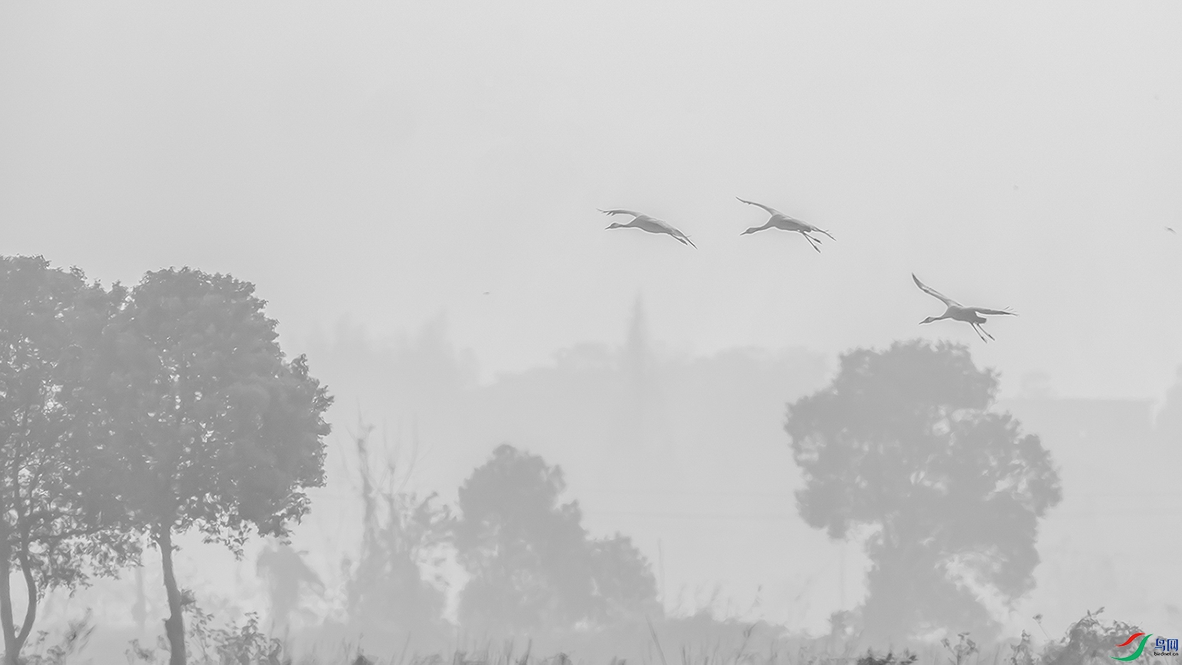 DSC09314 ���� 2.jpg