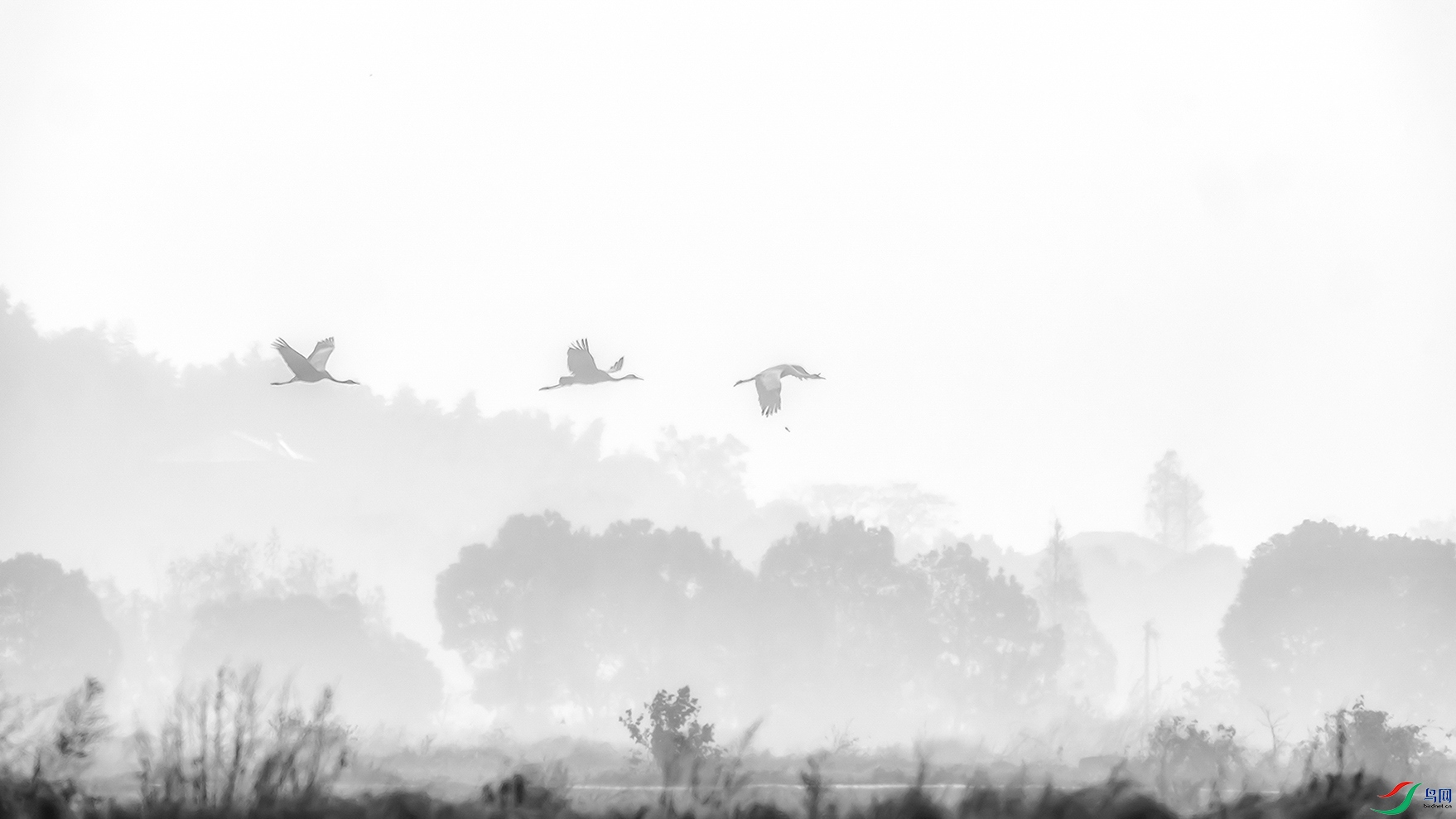 DSC09341 ���� 4.jpg