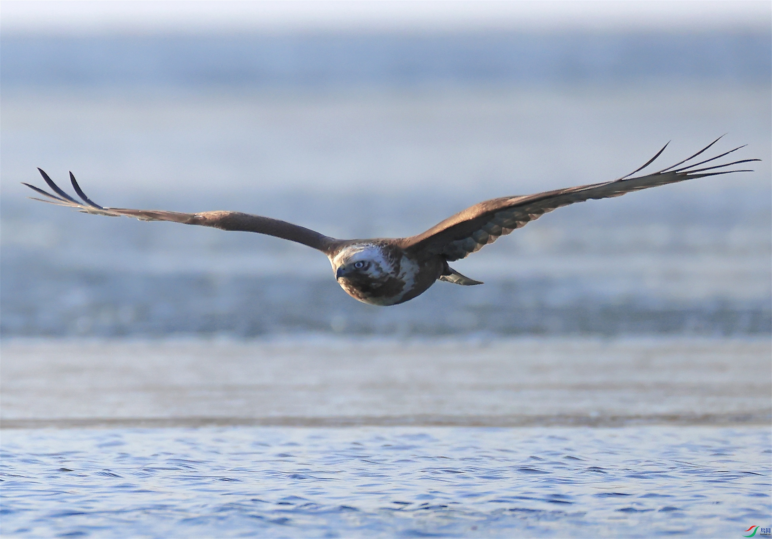 2 - ����.JPG