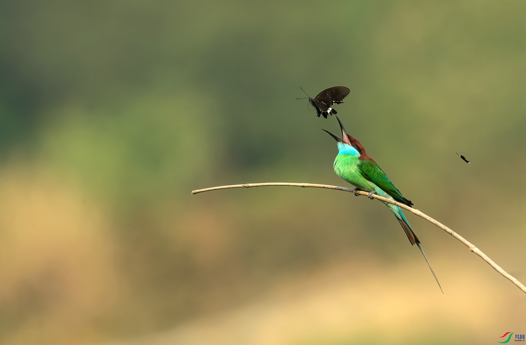 File470 ����_����.jpg