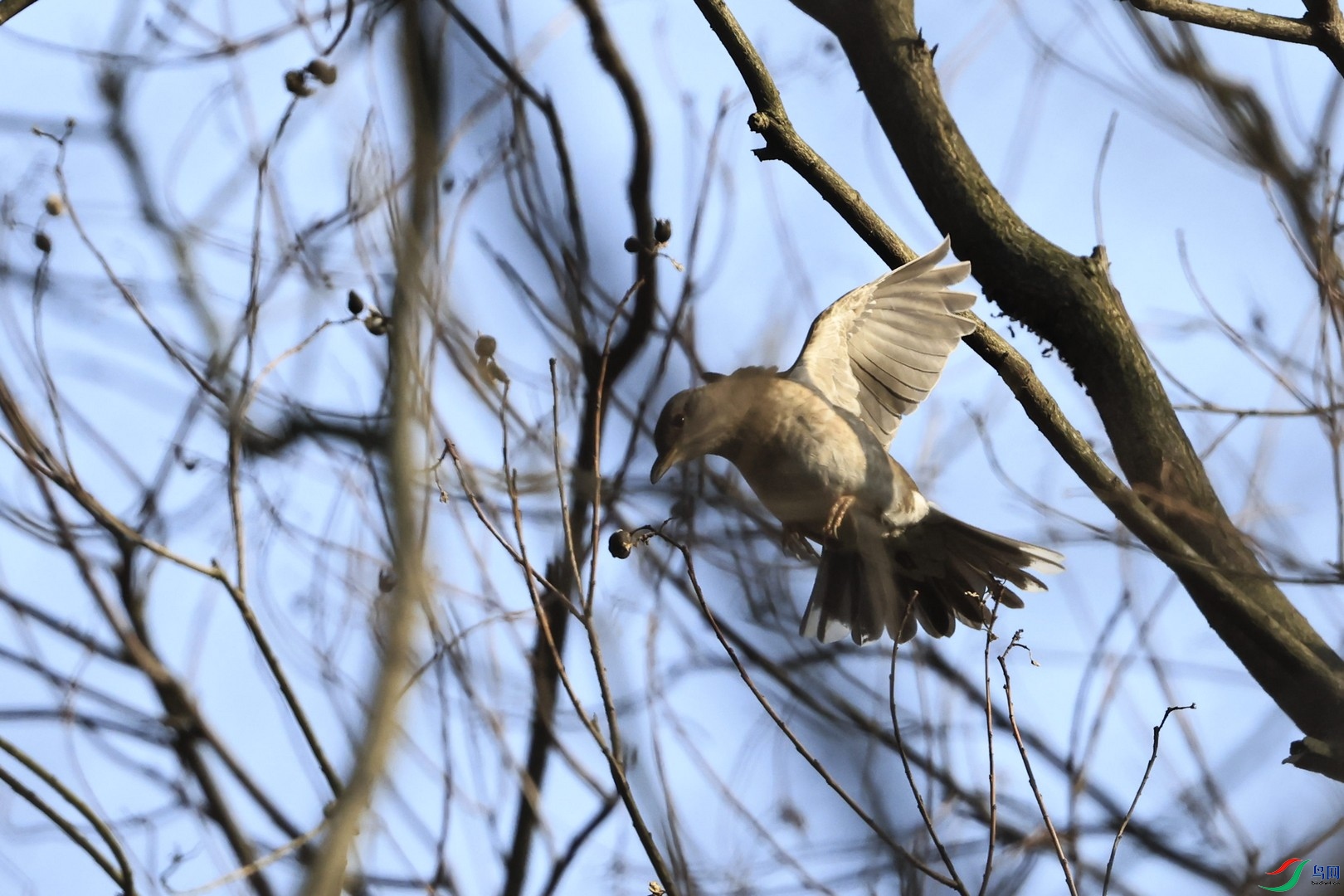 ʲô�� _98A2556.jpg