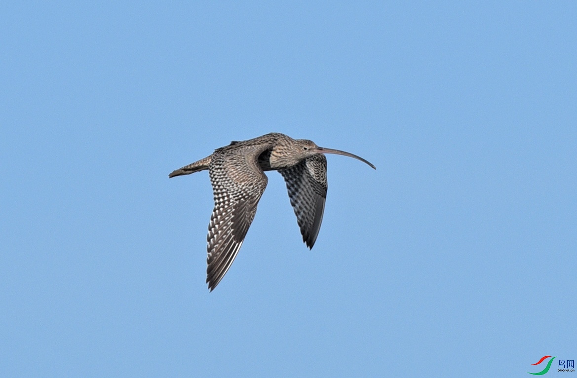 DSC_7728f_��ͼ��.jpg