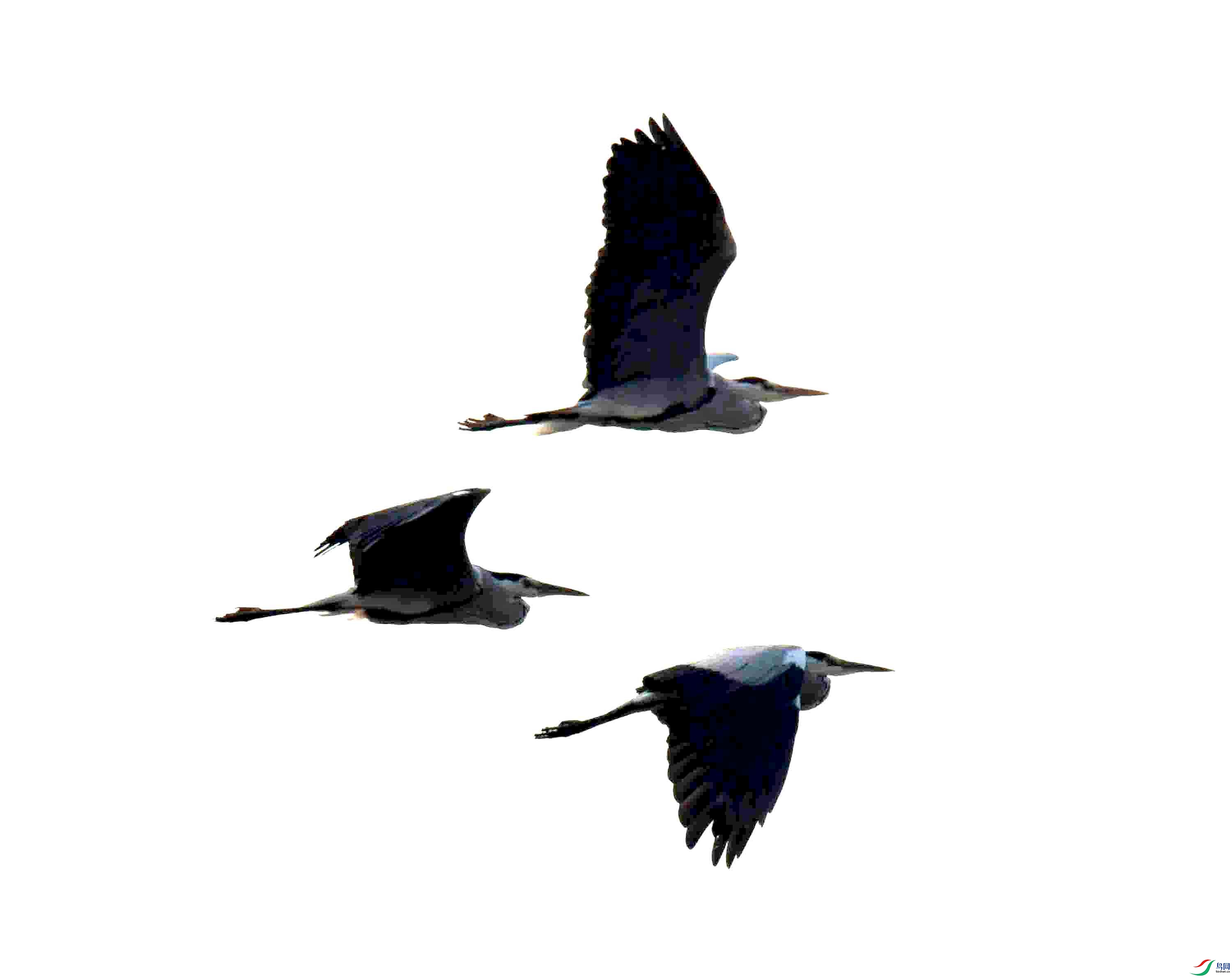 DSC_0008.JPG