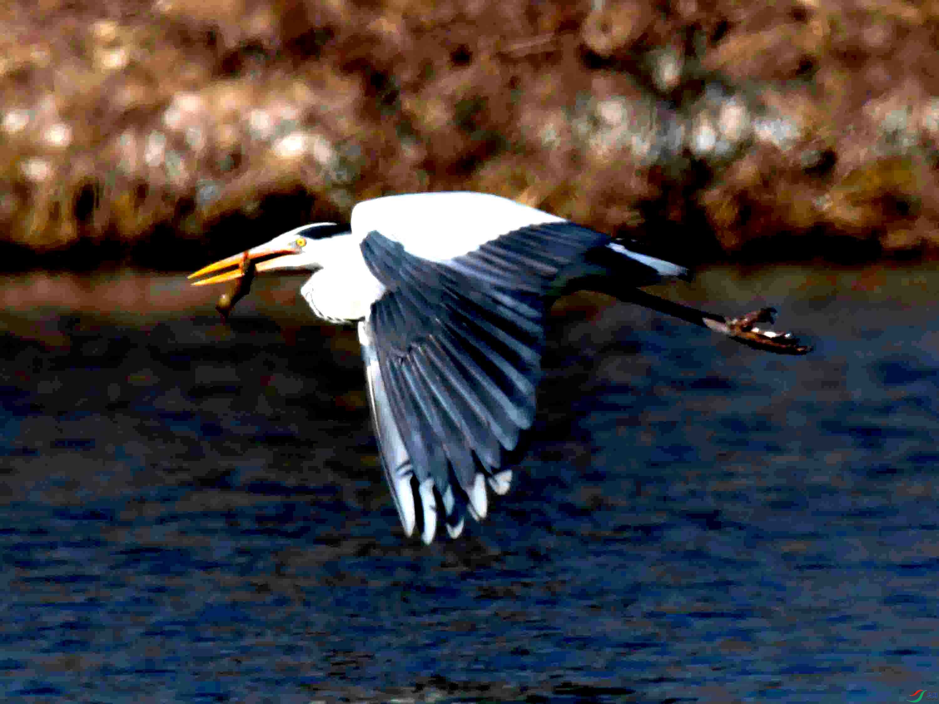 DSC_0850.JPG