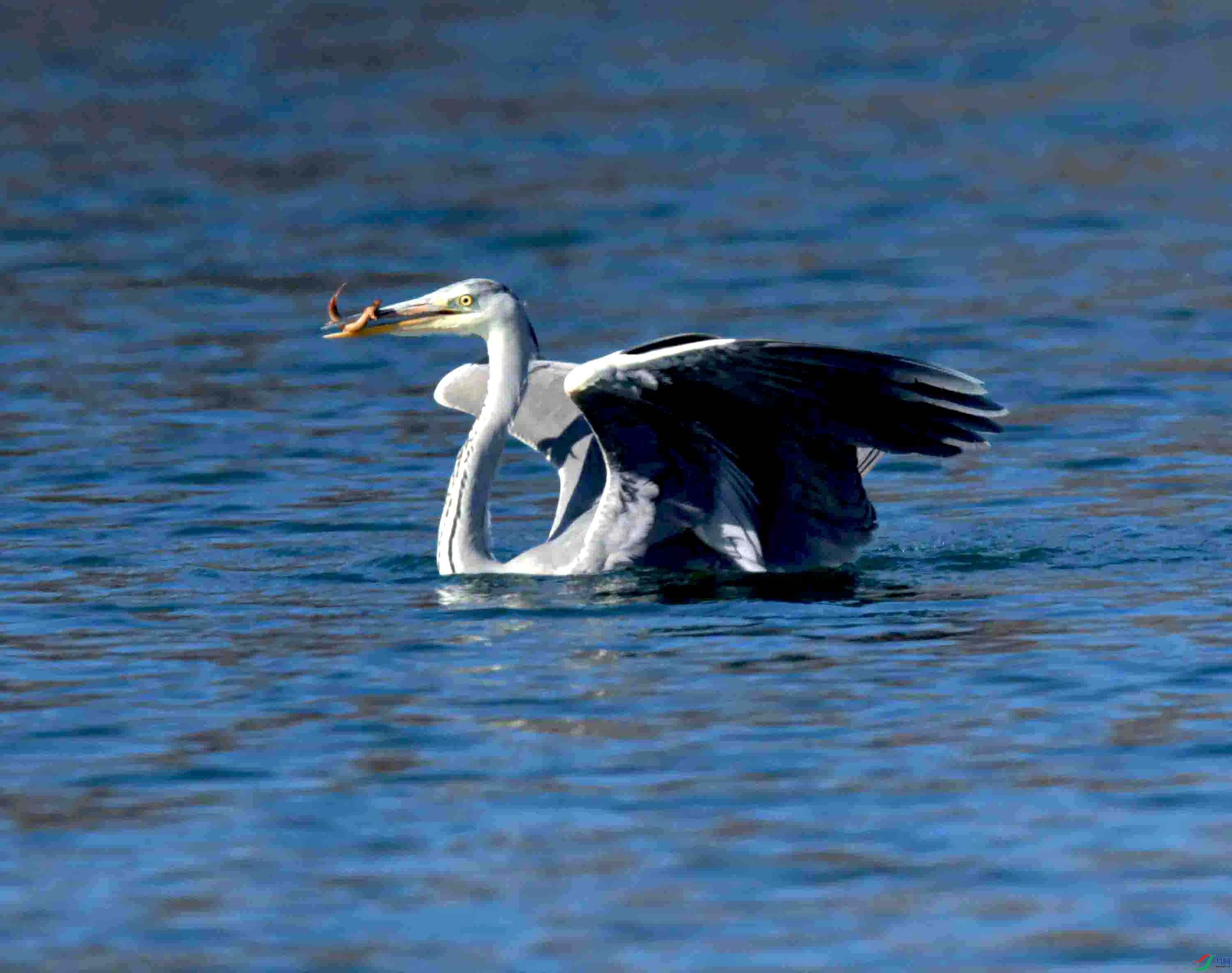 DSC_0855.JPG