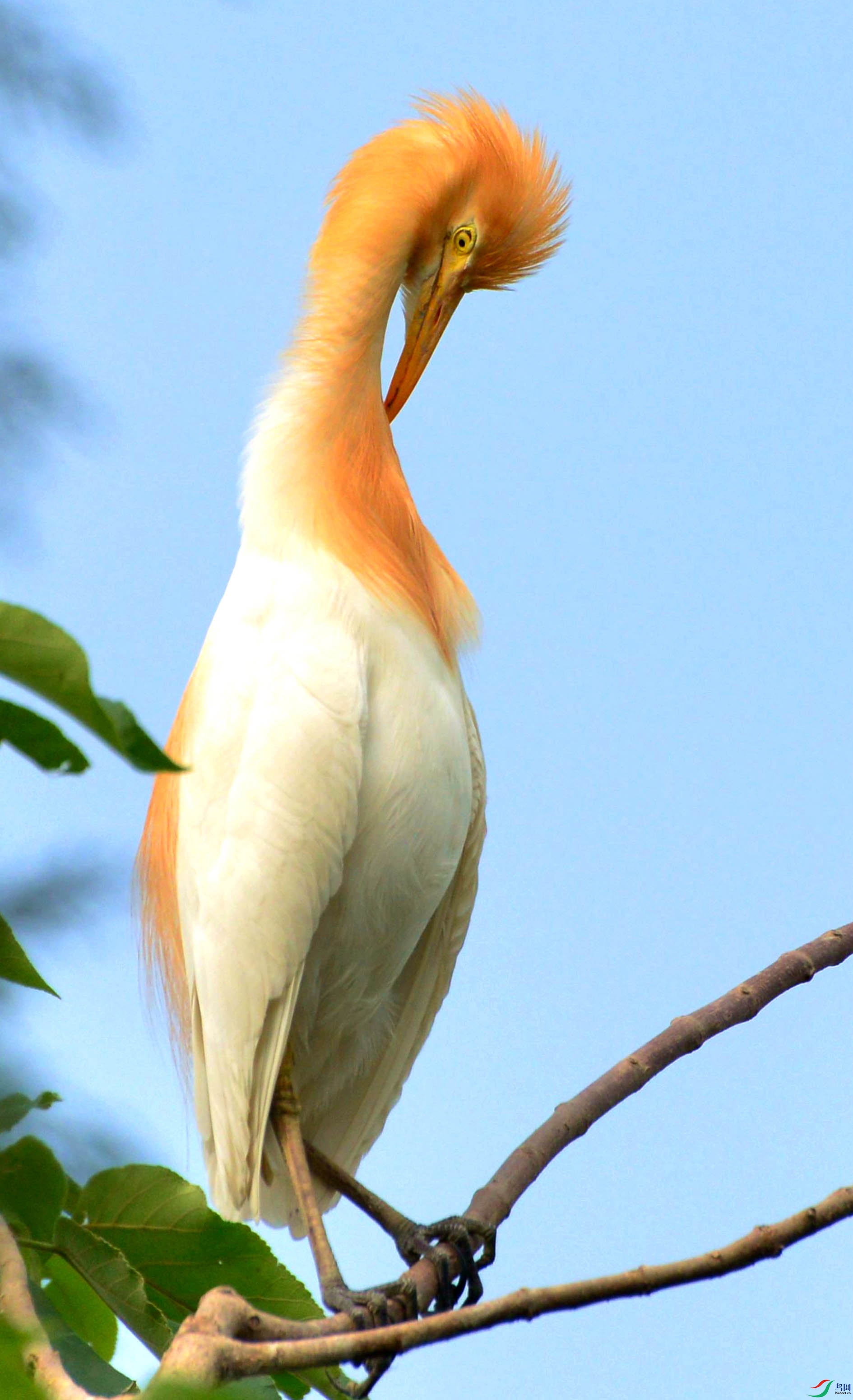 DSC_4342.JPG