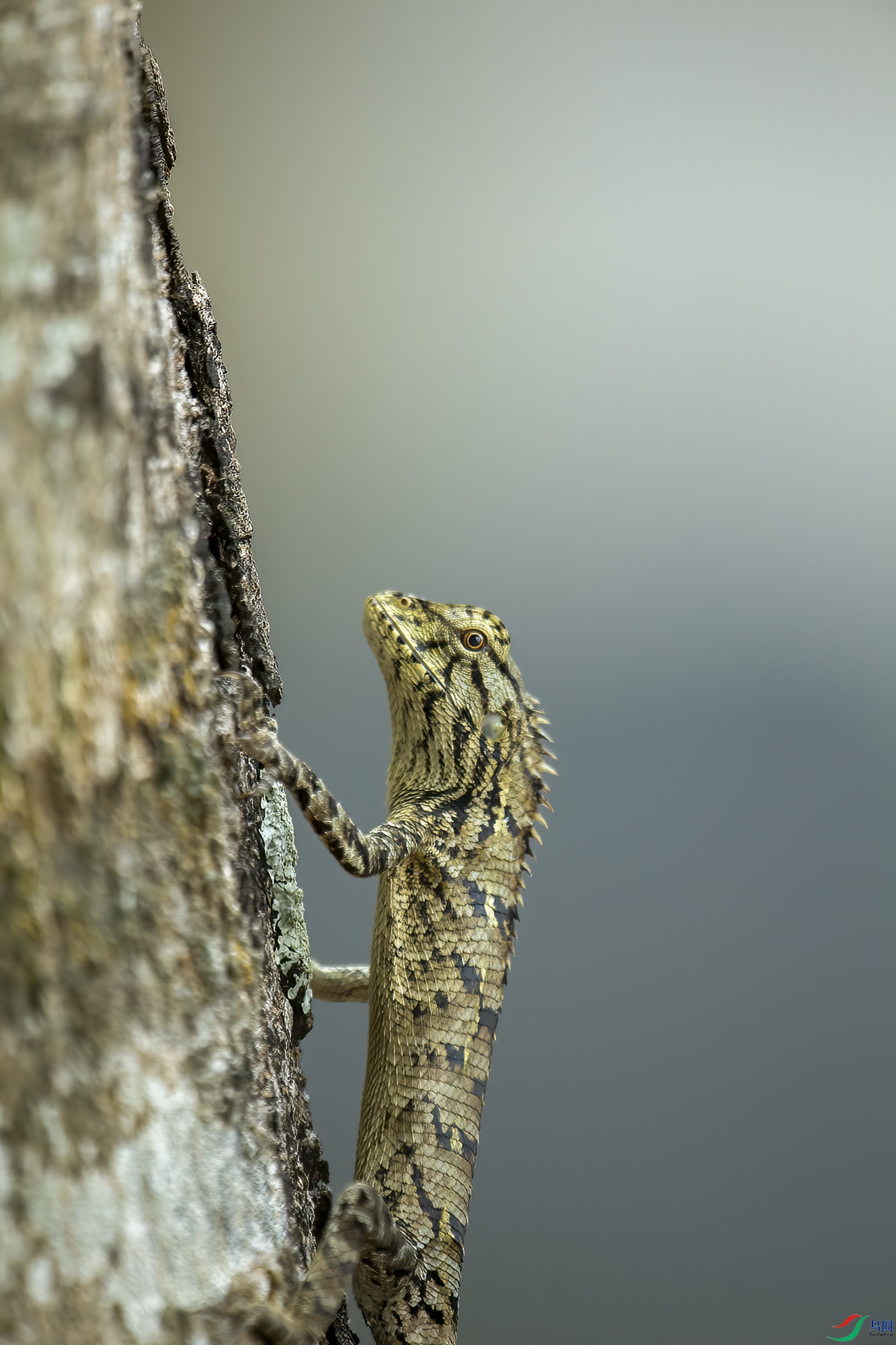 DSC_6539px.jpg