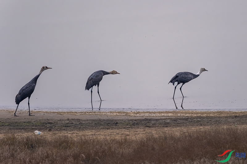DSCF5719.jpg