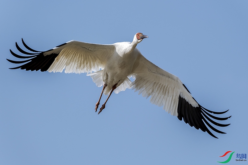 DSCF7590.jpg