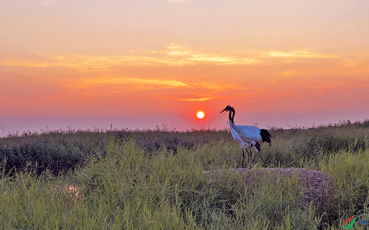 DSC_5992b.jpg