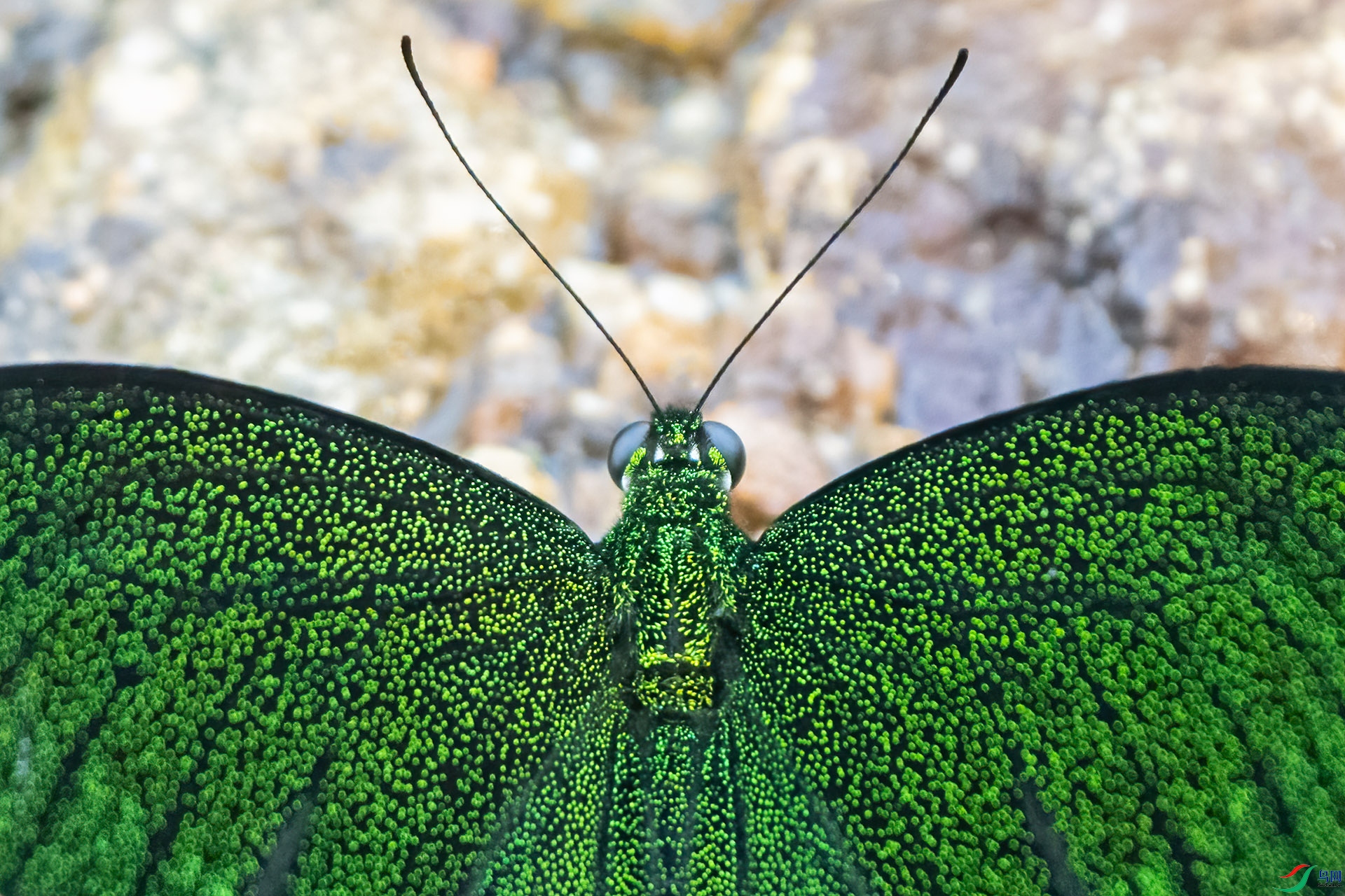 LXP04556-2.jpg