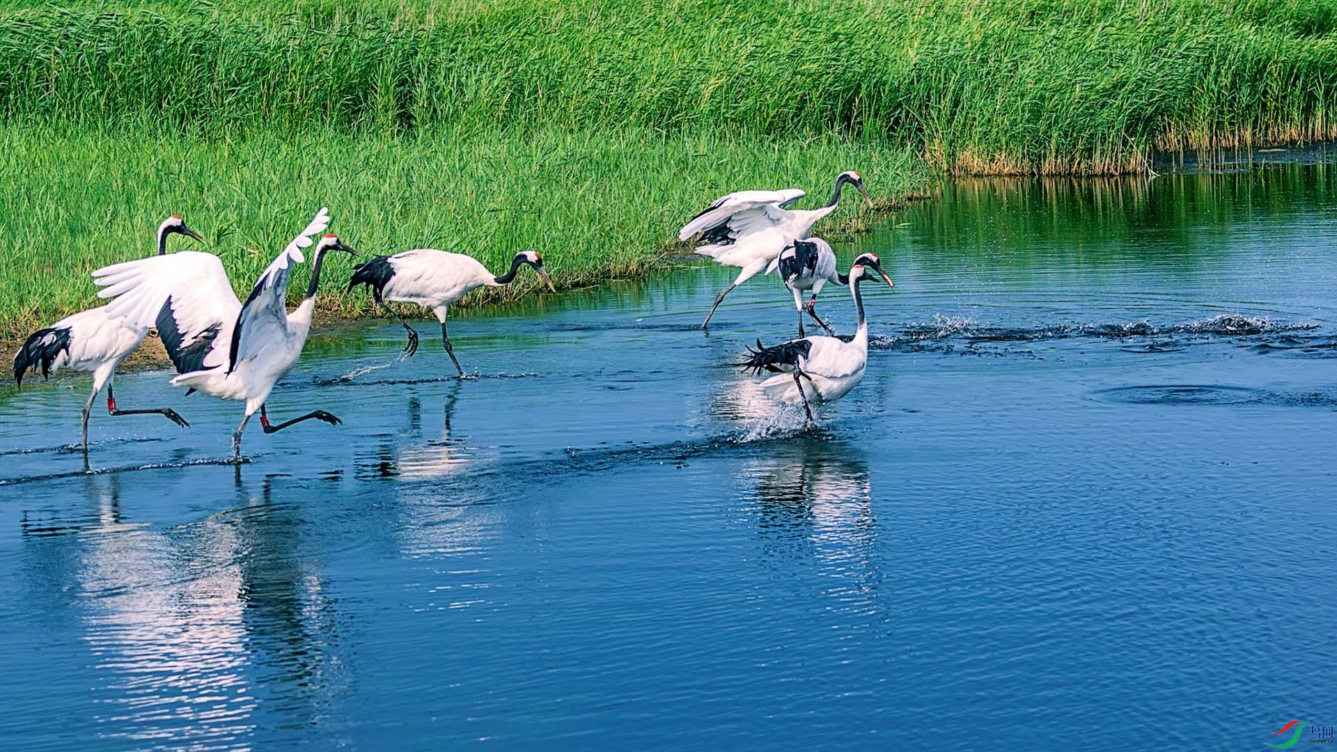 _0000706 ����-gigapixel.jpg