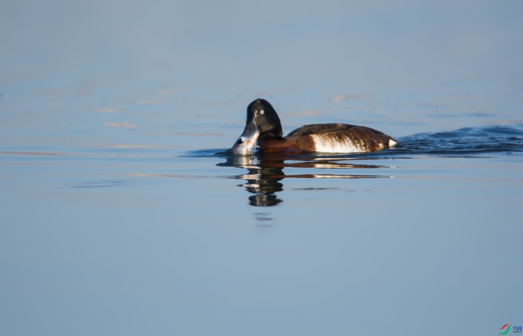 DSC_2450.jpg