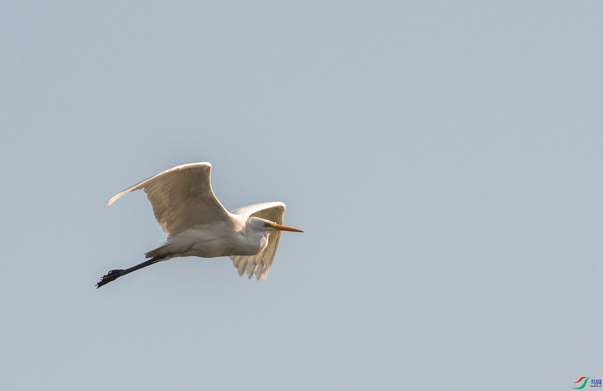 DSC_3611.jpg
