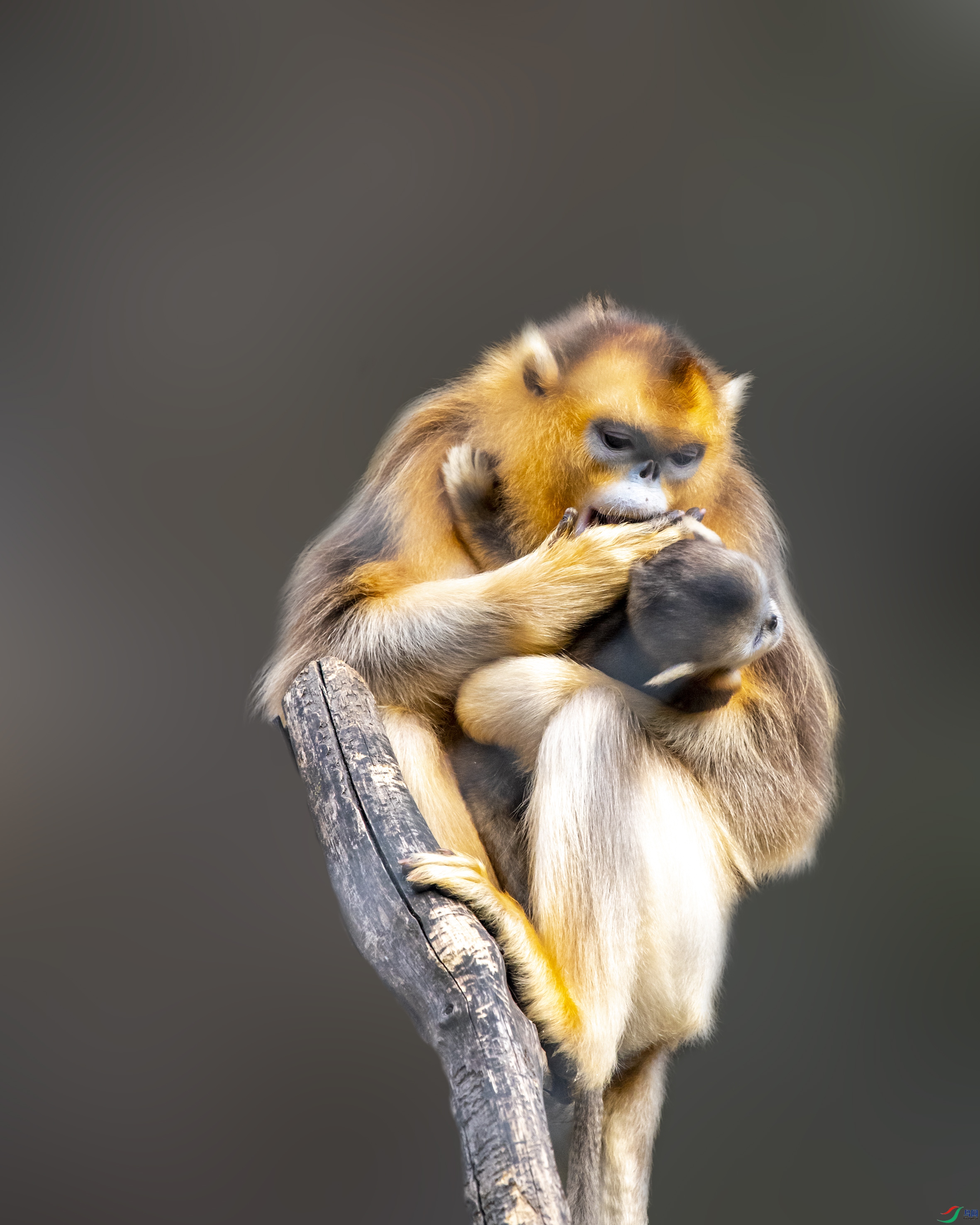 1391 ����.jpg