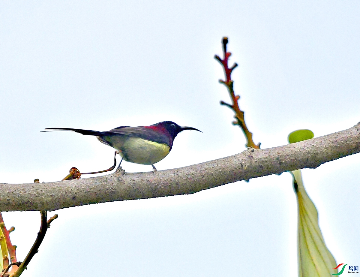 DSC_3869.JPG