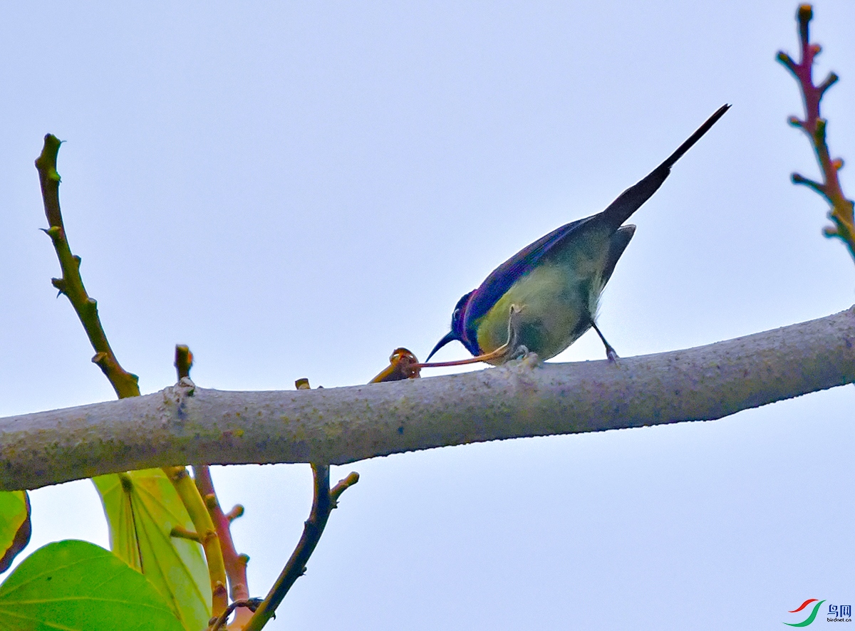 DSC_3876.JPG