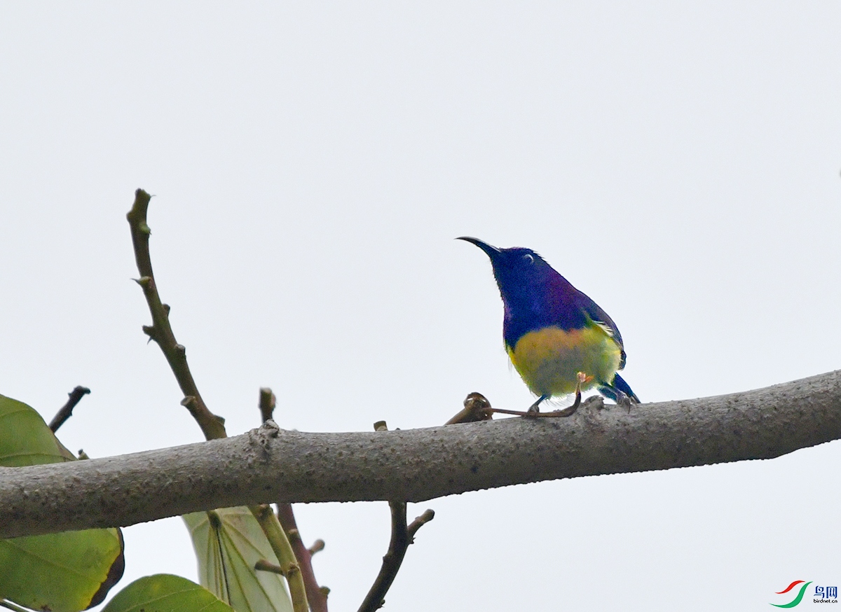 DSC_3877.JPG