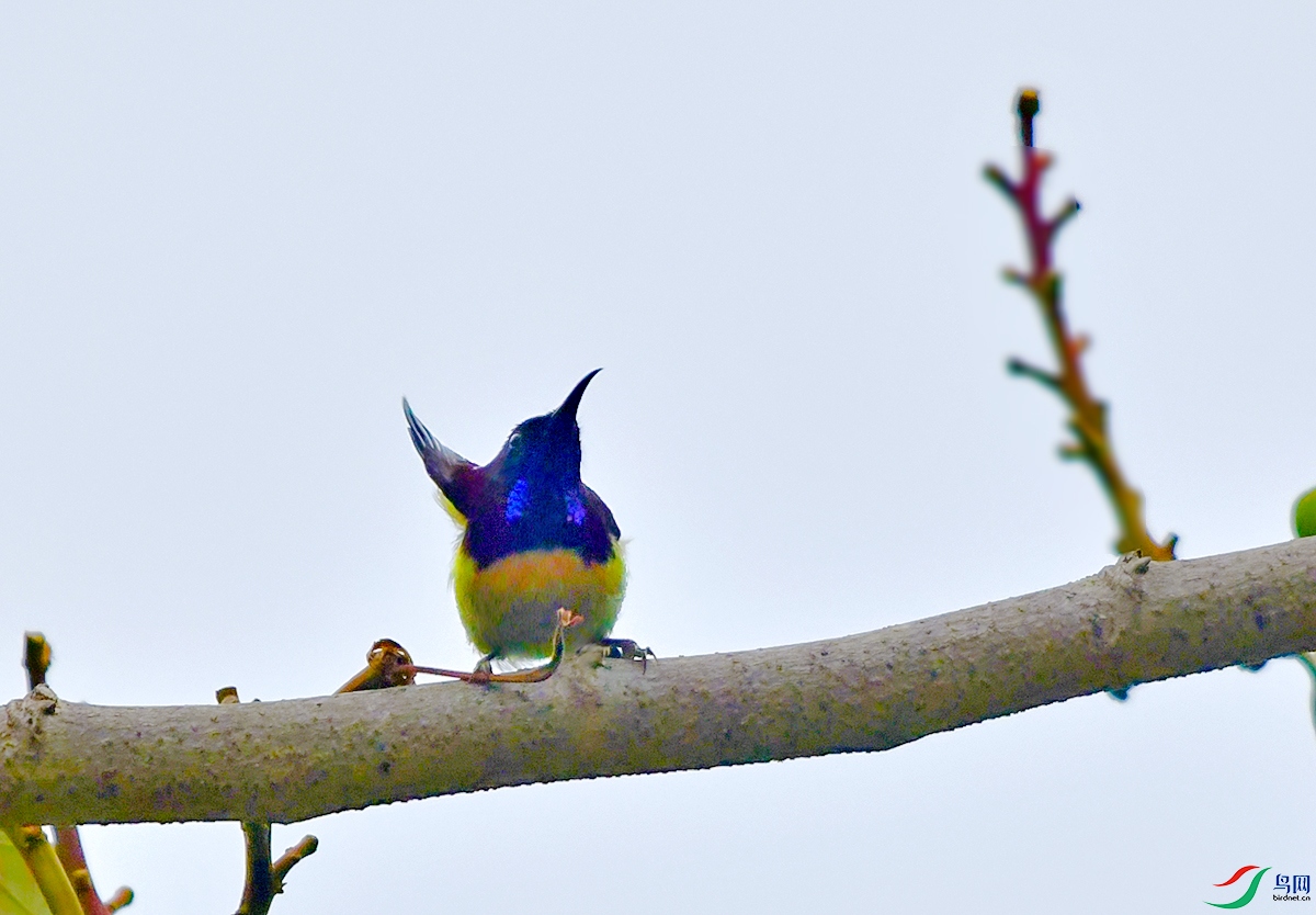DSC_3879.JPG