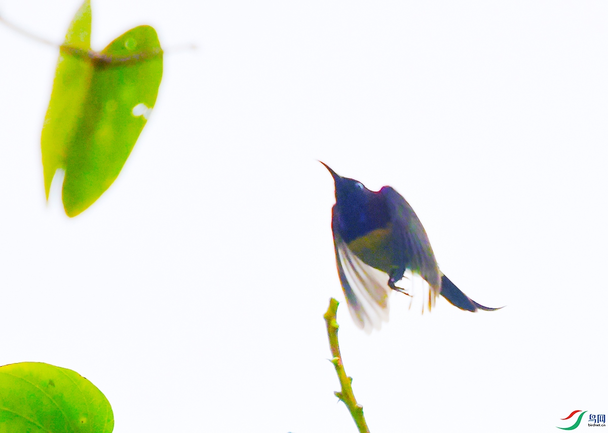 DSC_3886.JPG