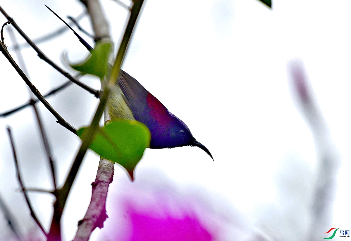 DSC_3837.JPG