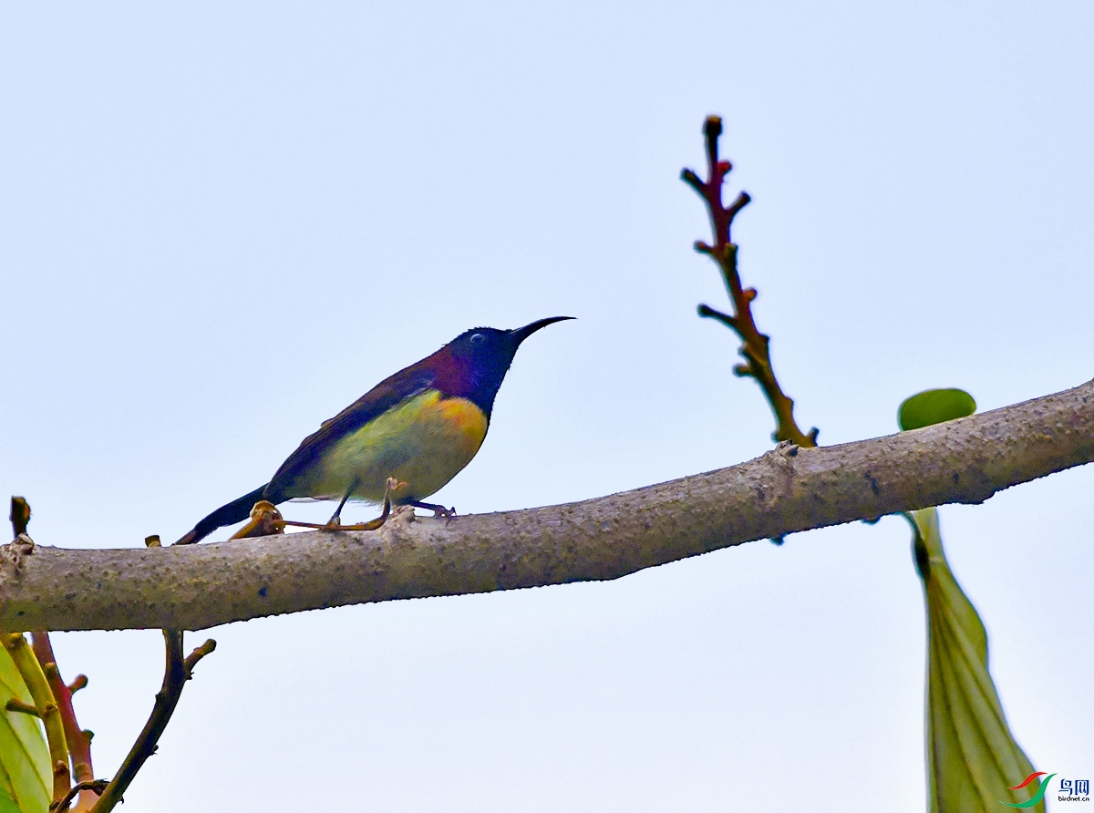 DSC_3883.JPG