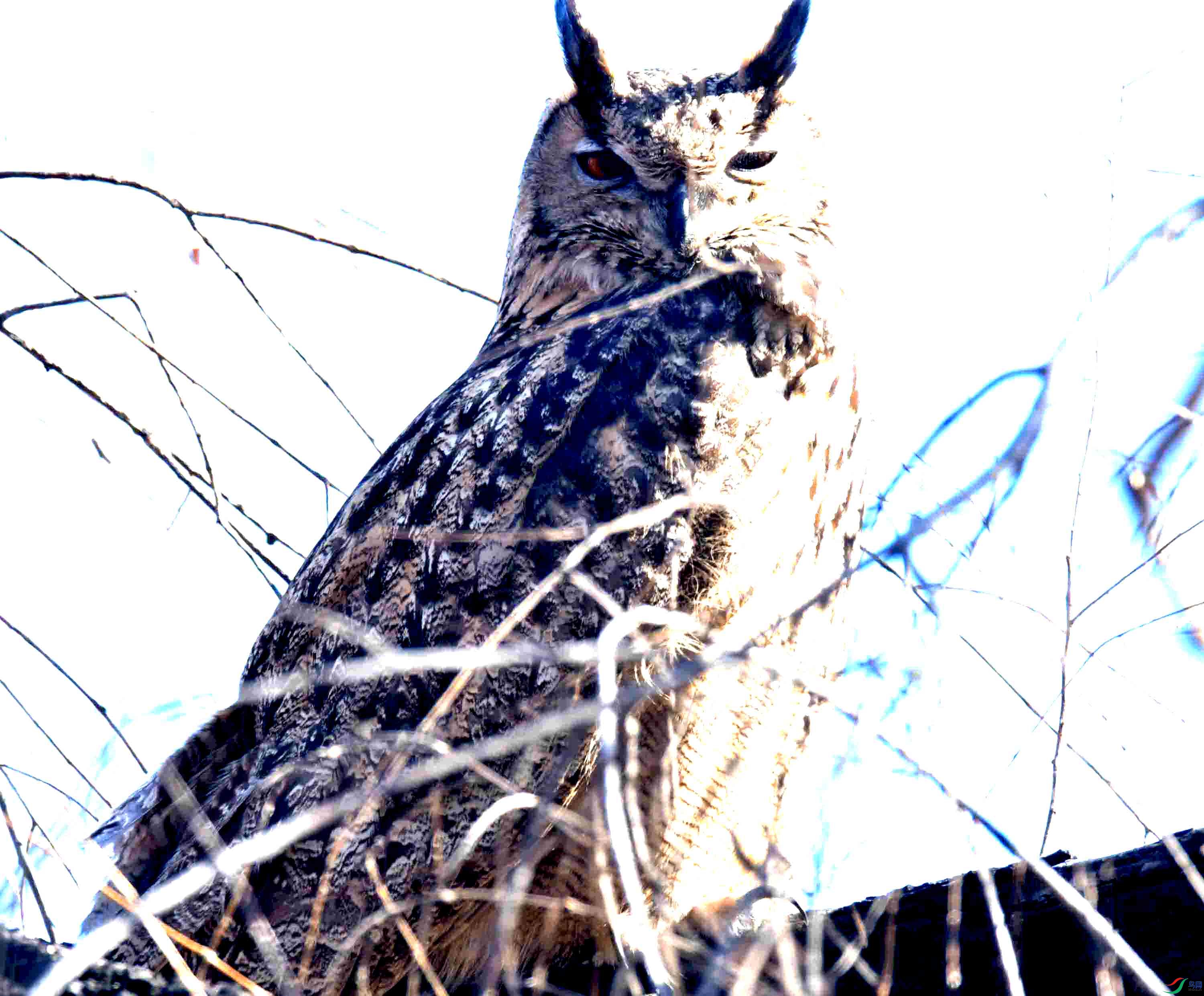 DSC_5746.JPG