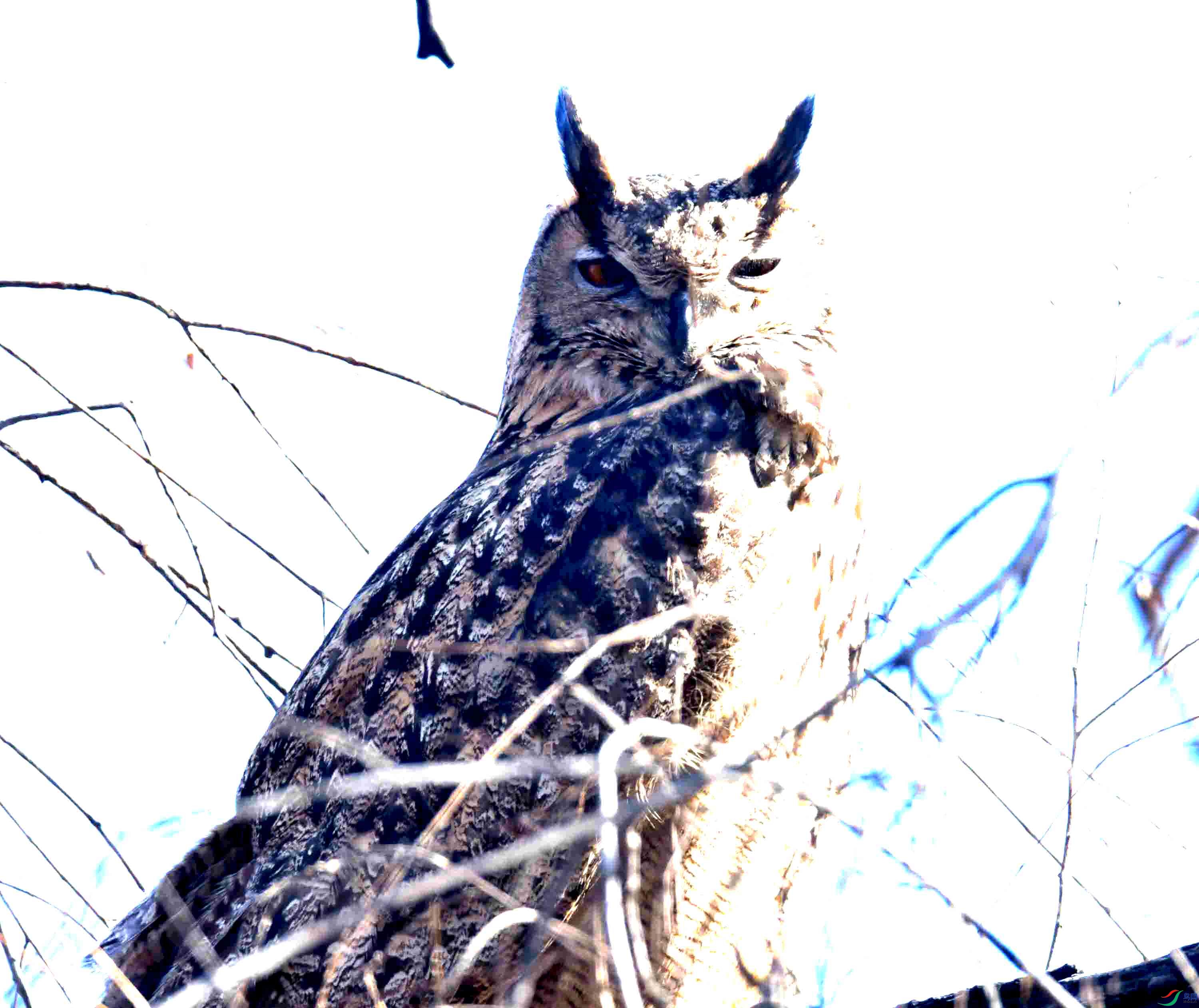 DSC_5748.JPG