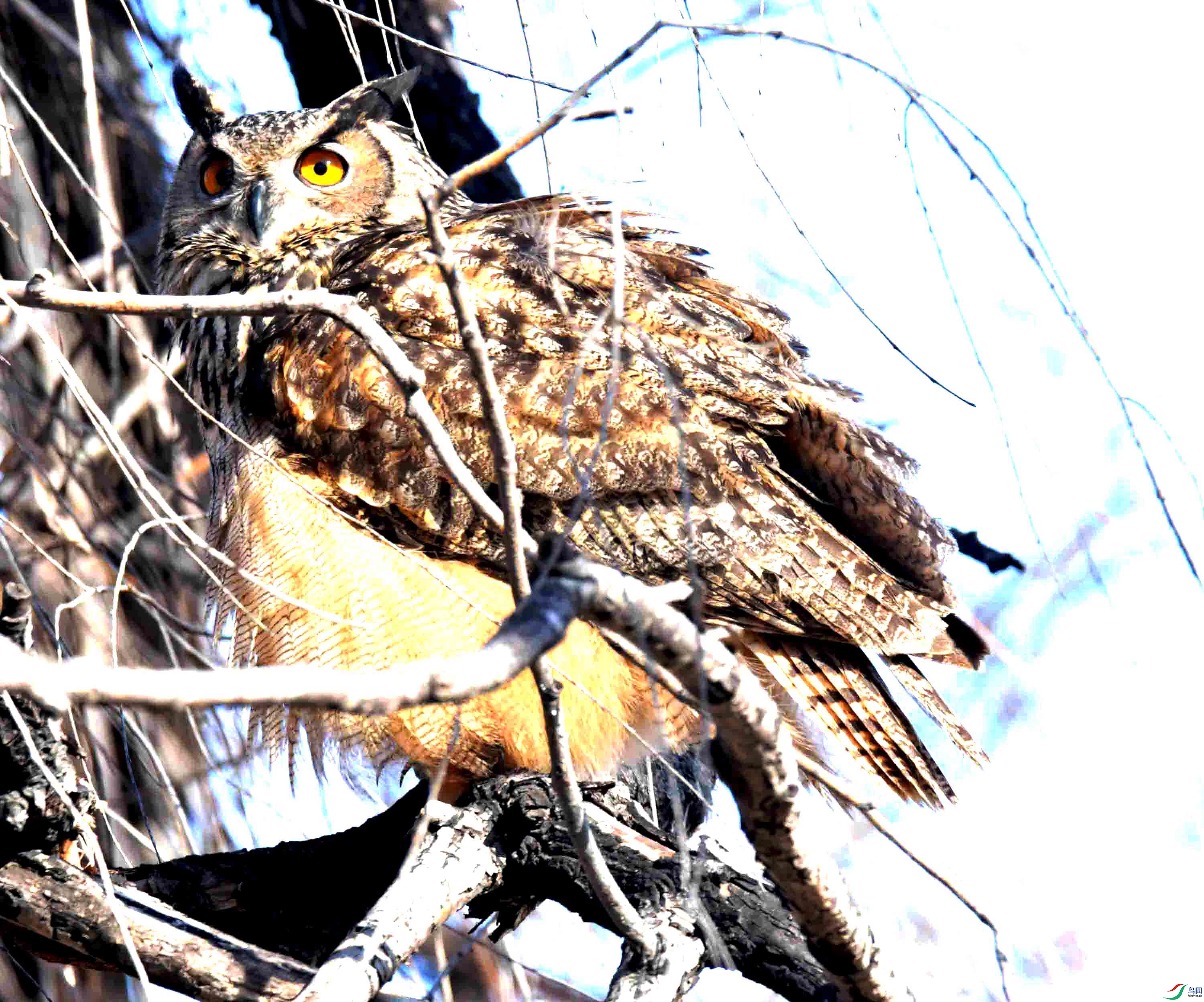 DSC_5757.JPG