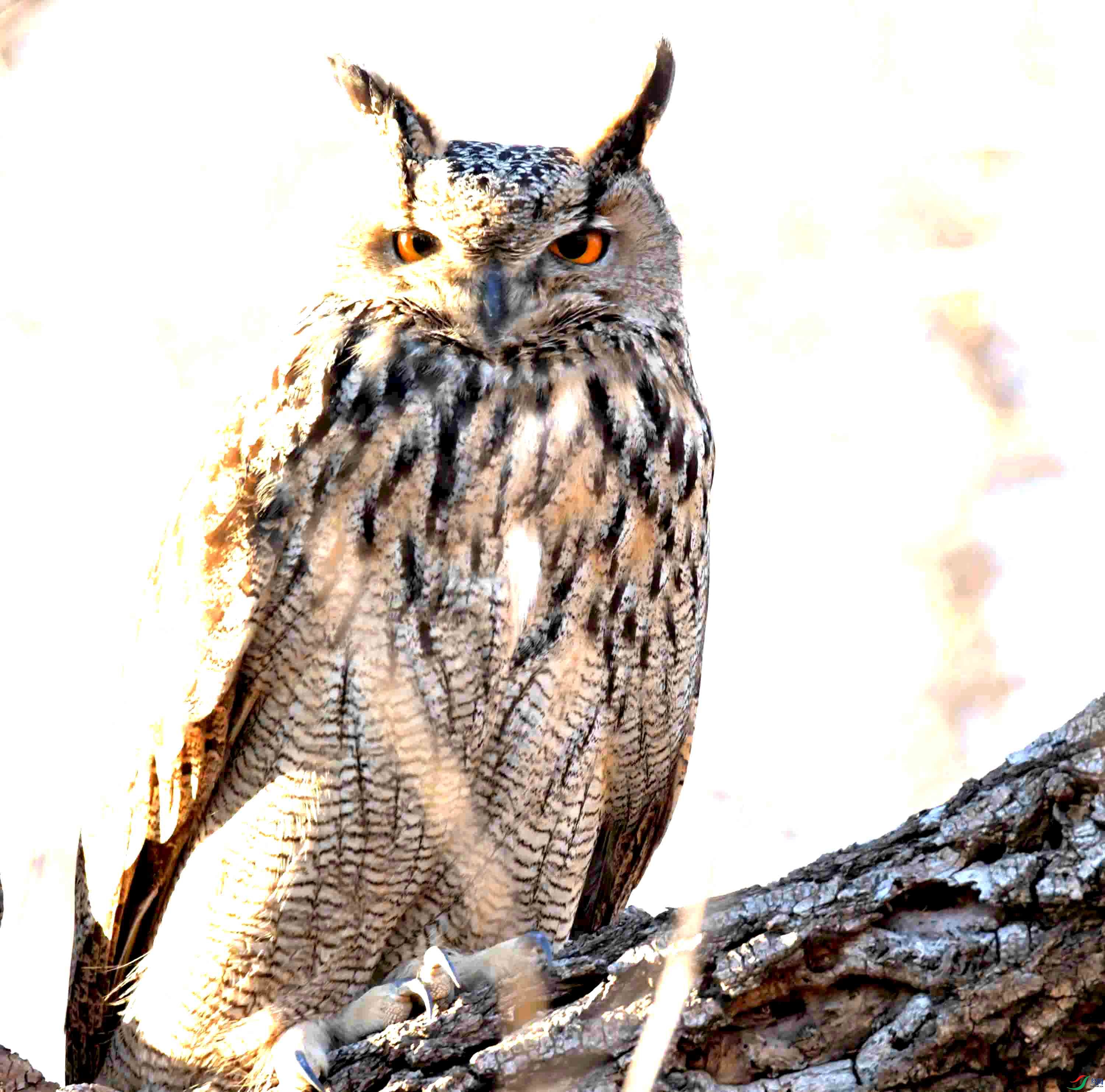 DSC_8320.JPG